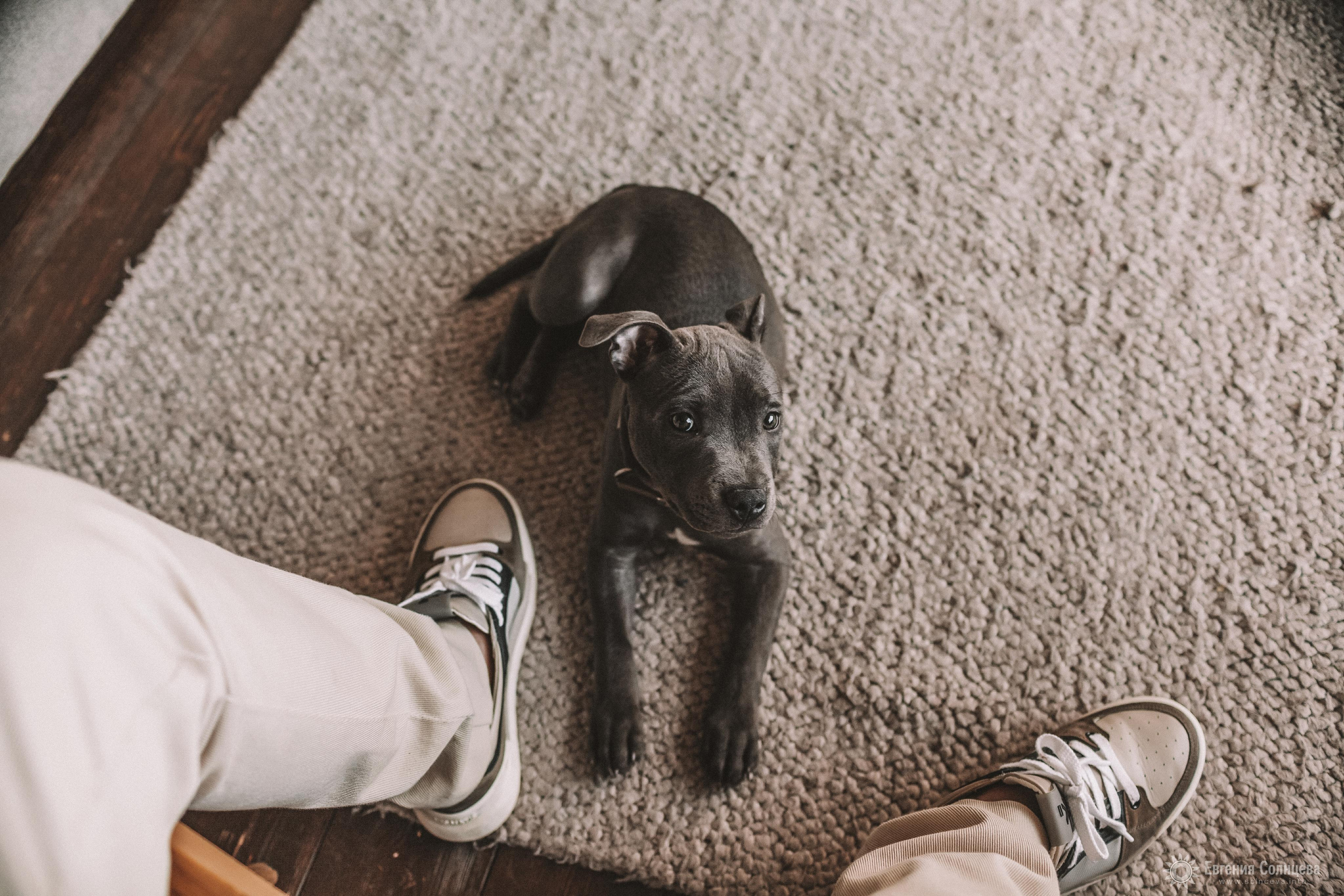 Свадебный фотограф - портфолио. Свадебные серии. Фотограф в Санкт-Петербурге, — Евгения Солнцева