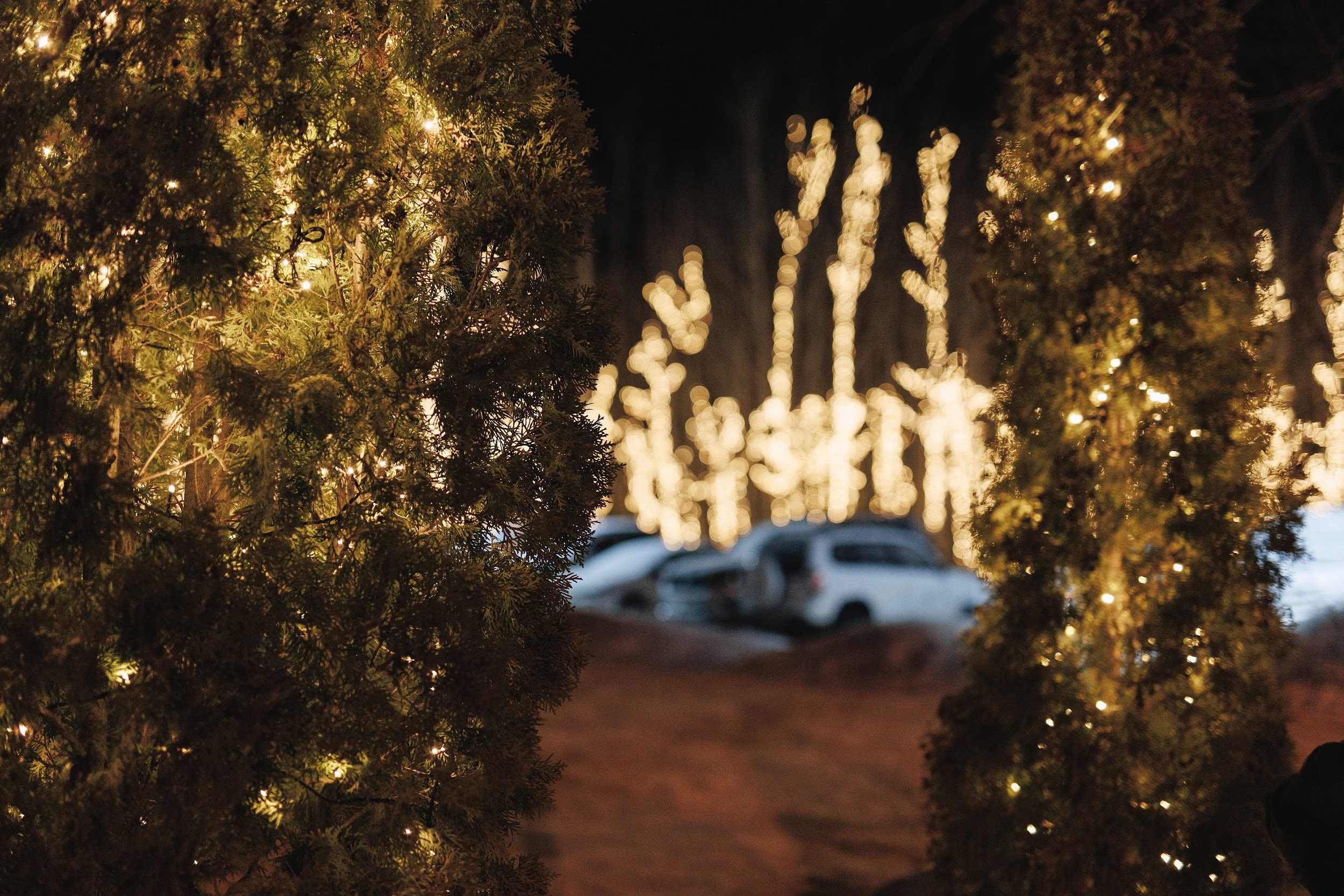 Goritsy | Новый год 2024. Свадебный и репортажный фотограф в Воронеже Сергей Максимов