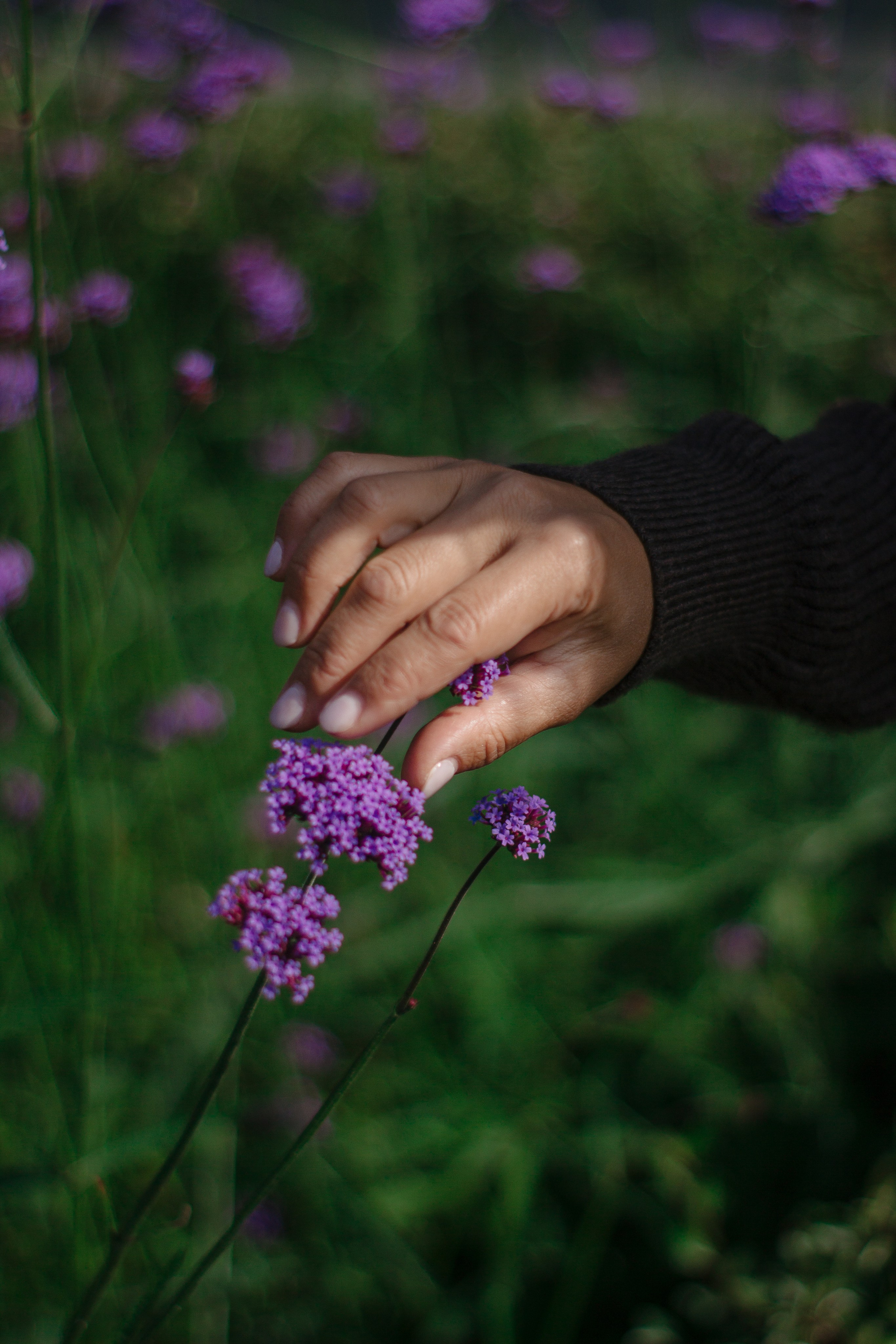 Танзиля, Измайловский парк. Фотограф / видеограф в Москве и Сочи Sofia Riversong