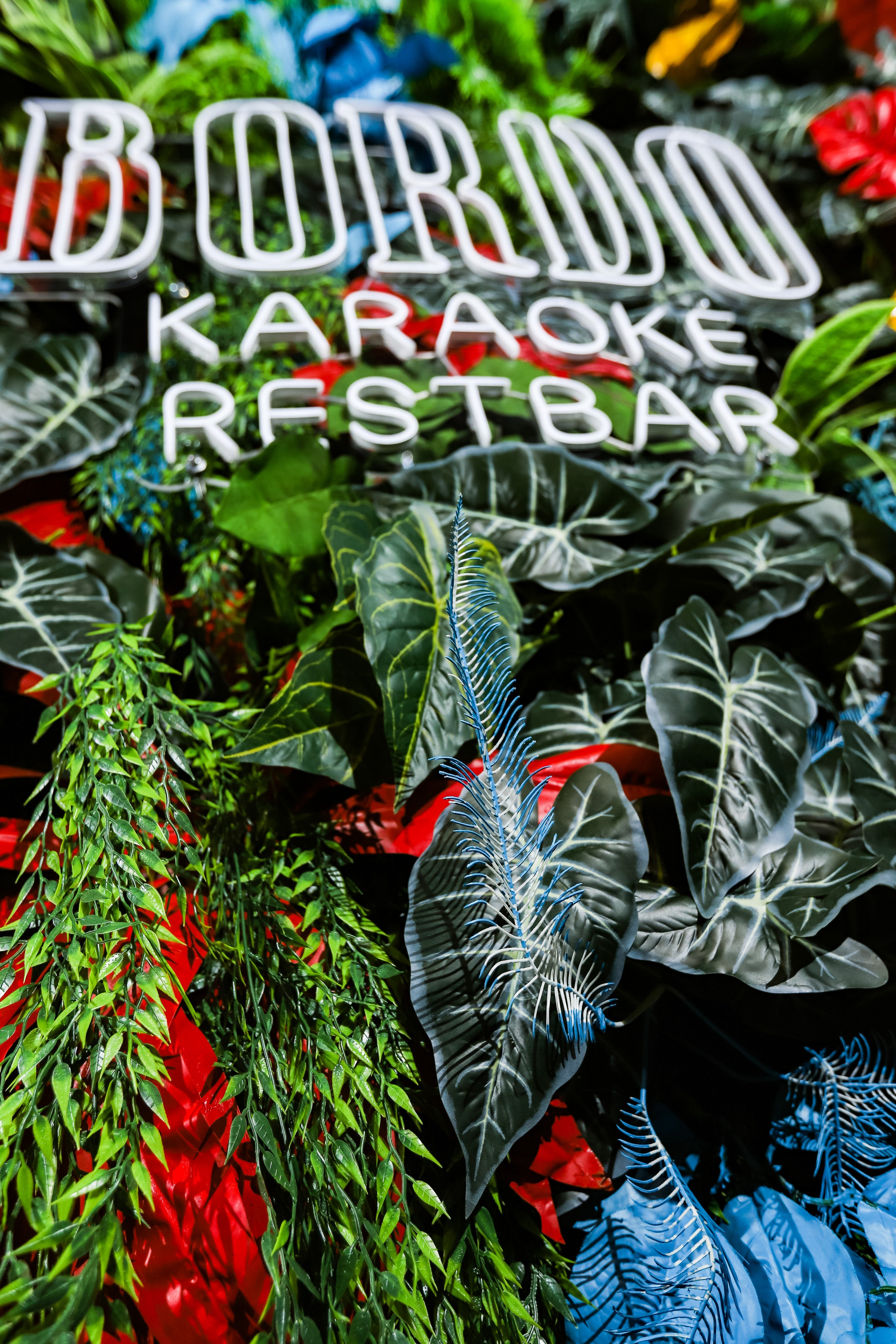 BORDO. Фотограф в Краснодаре Анна Светикова