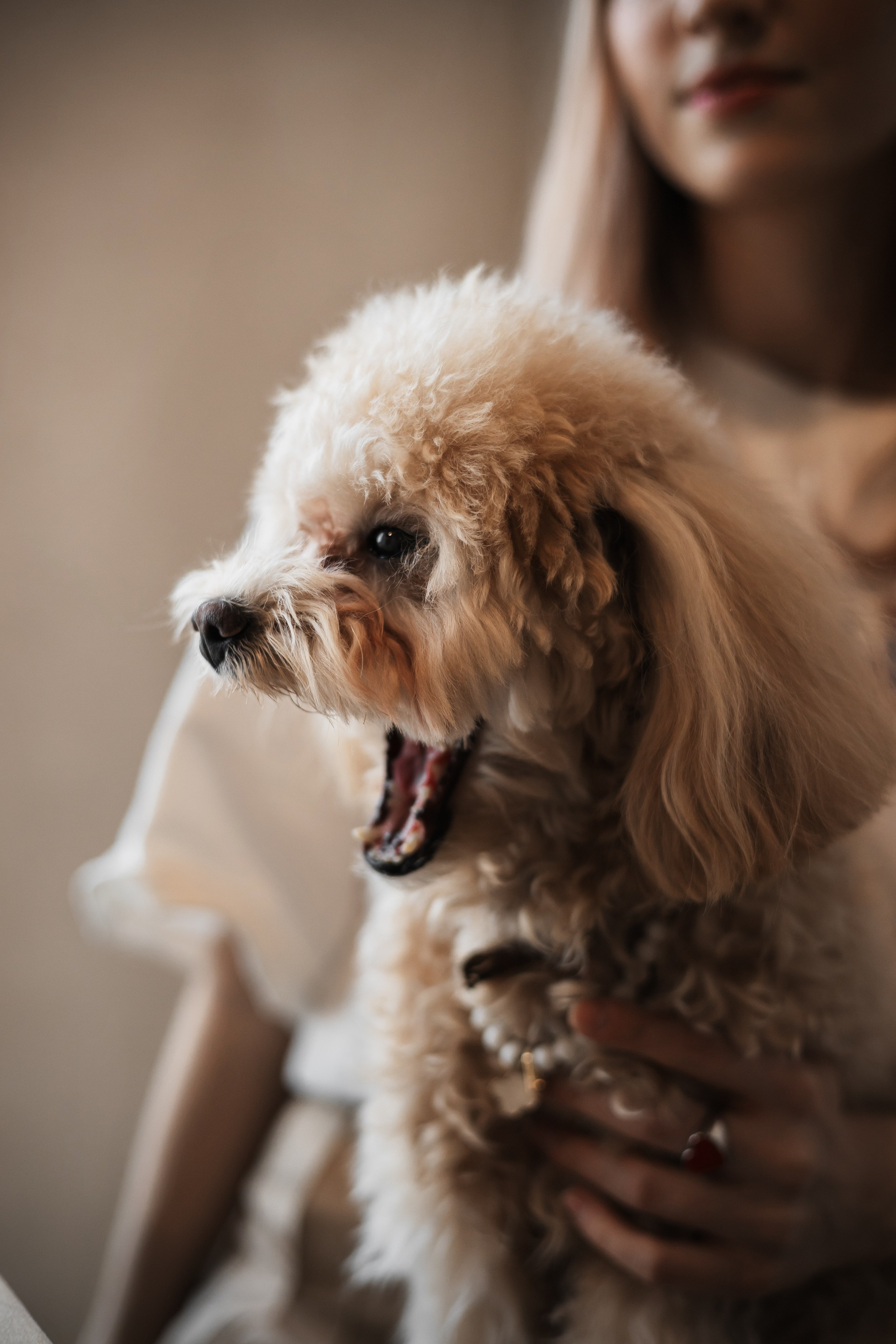 Алина — прогулка