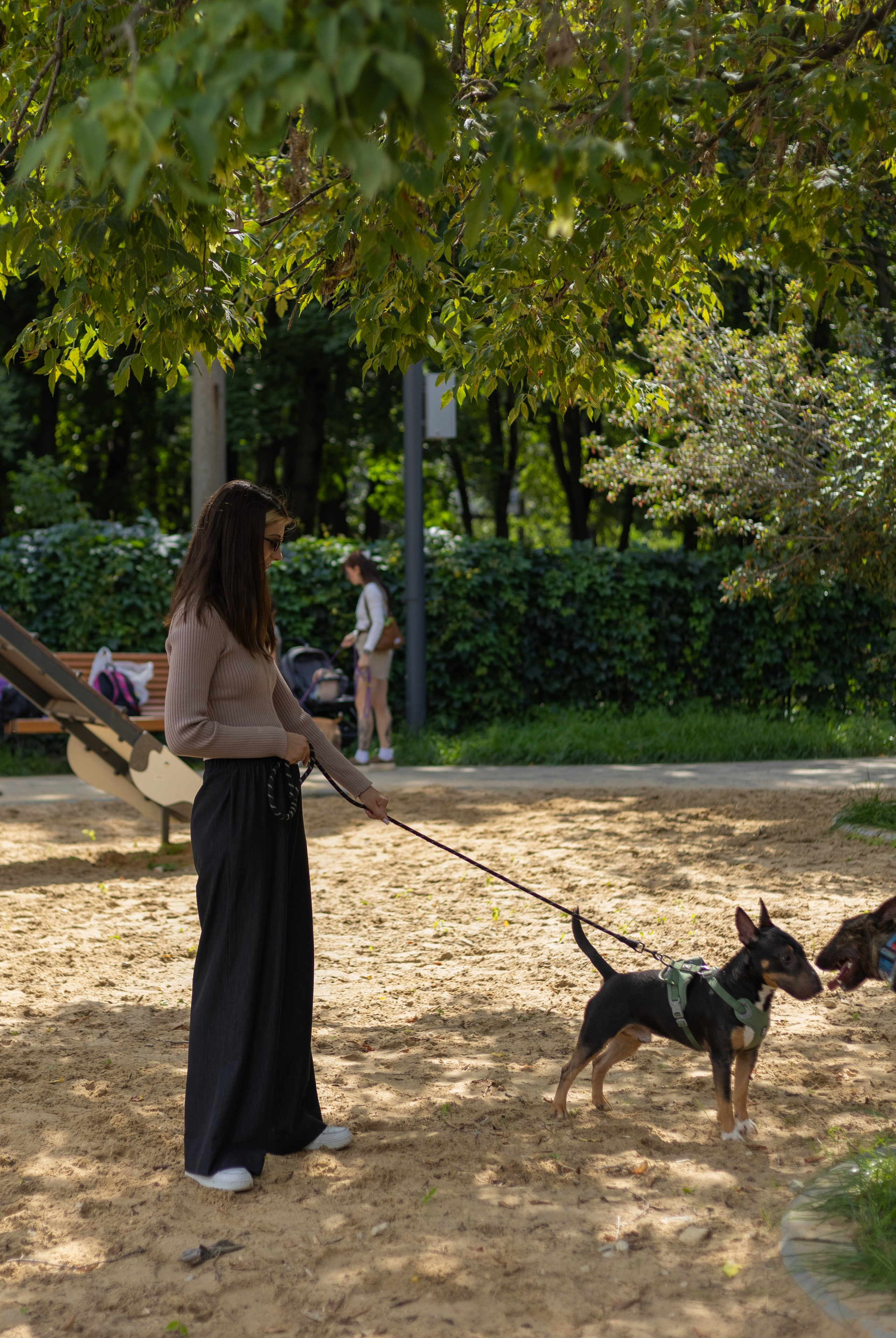 With pets. Фотограф Карина Соболева