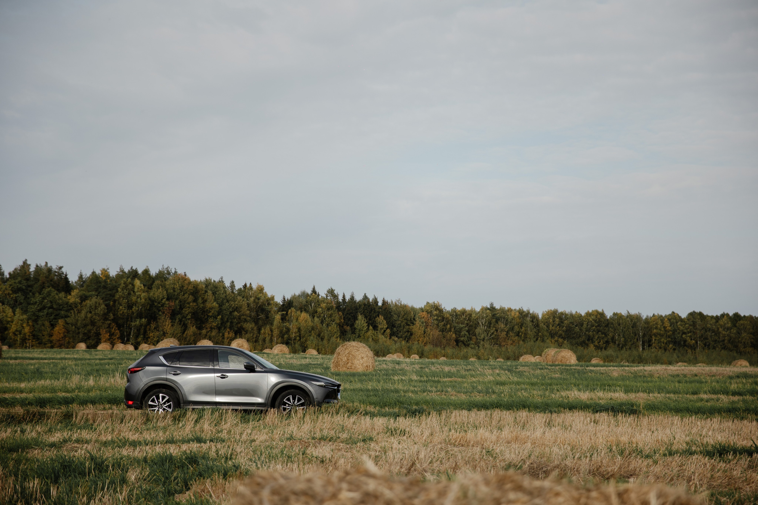 Александр и Лера. Свадебный и репортажный фотограф г. Чебоксары Евгений Леонидович