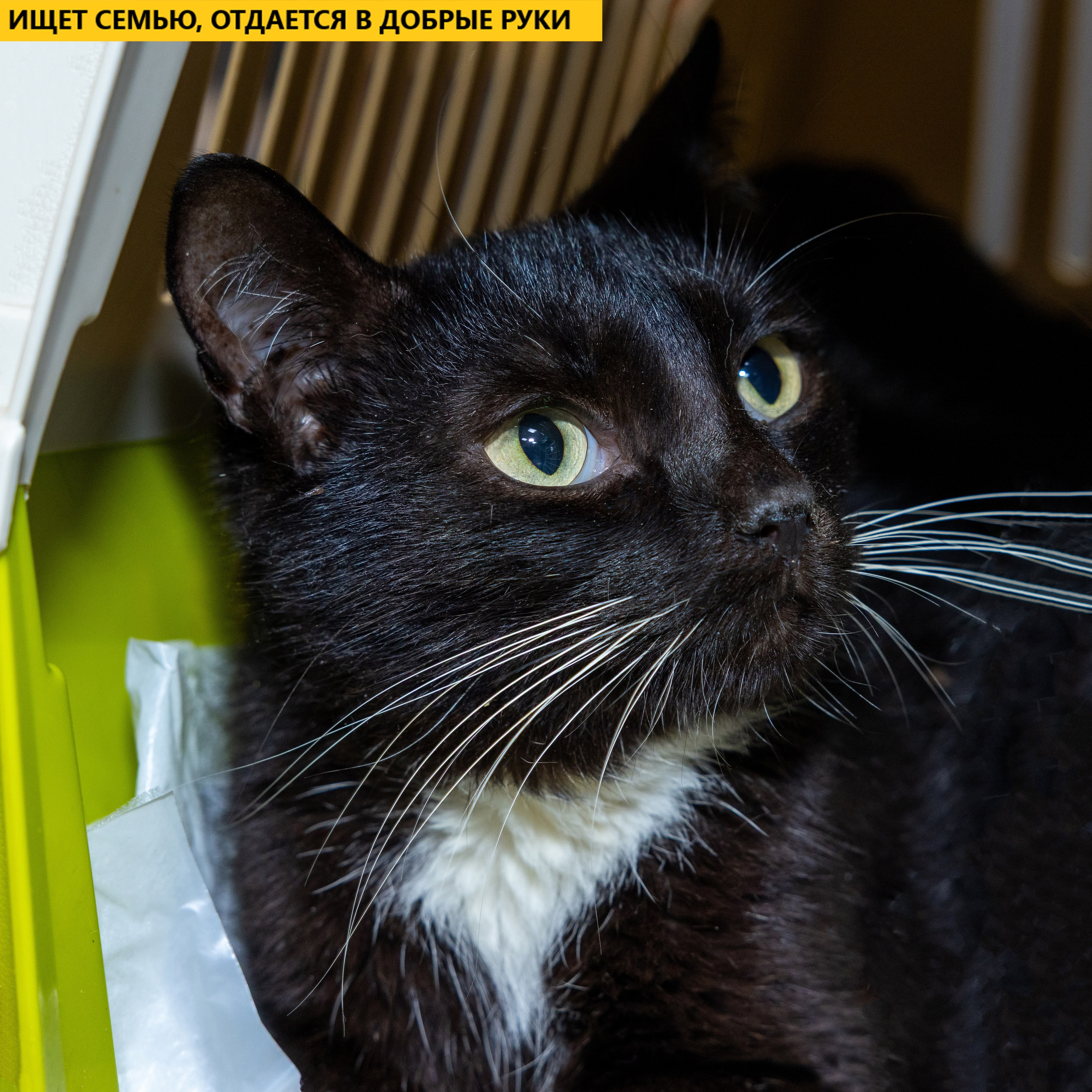 Рекламная съемка в Москве. Геннадий Степанов —фотограф в Москве