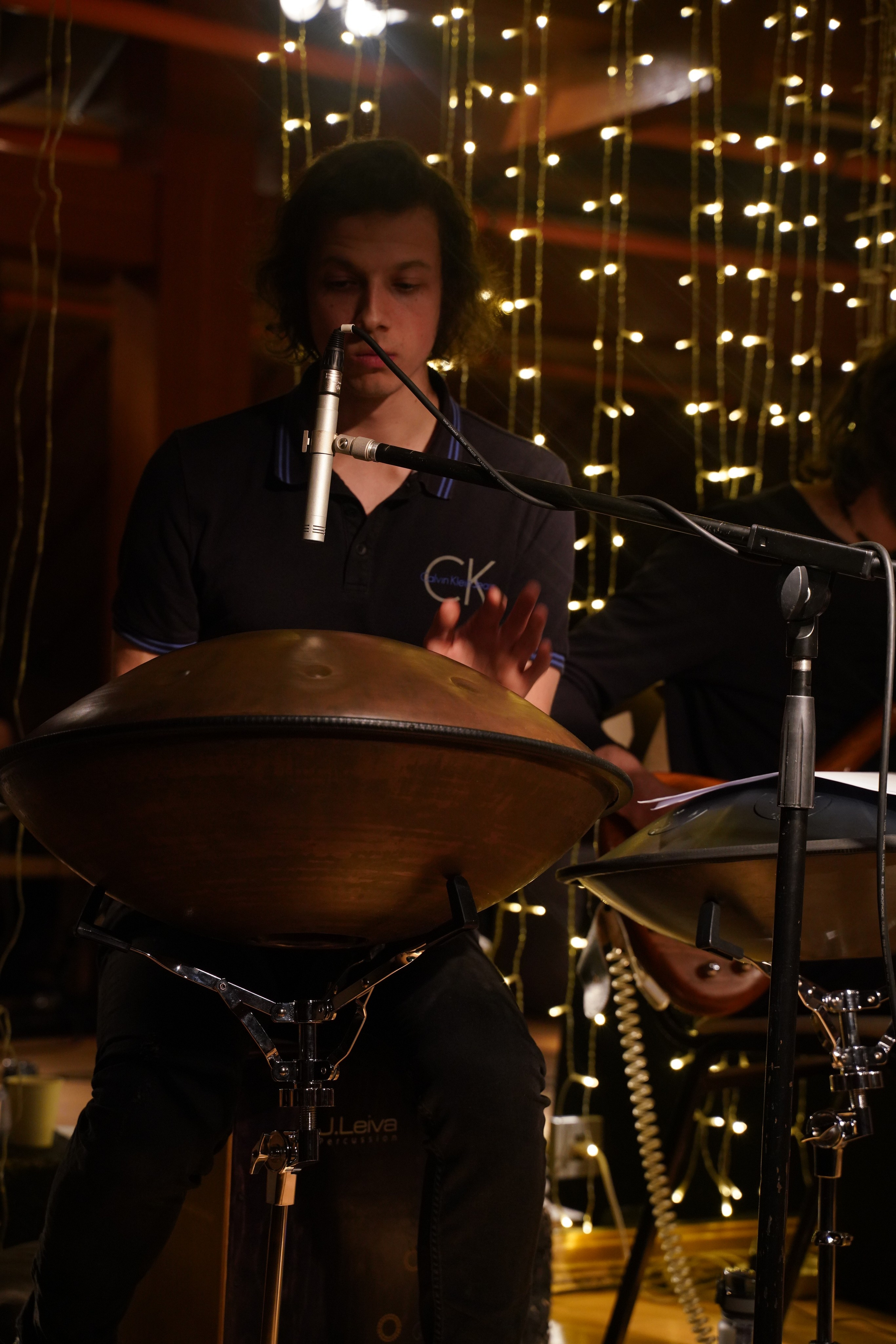 Концерт Forest jam project. Портретный и репортажный фотограф Наталья Горобец