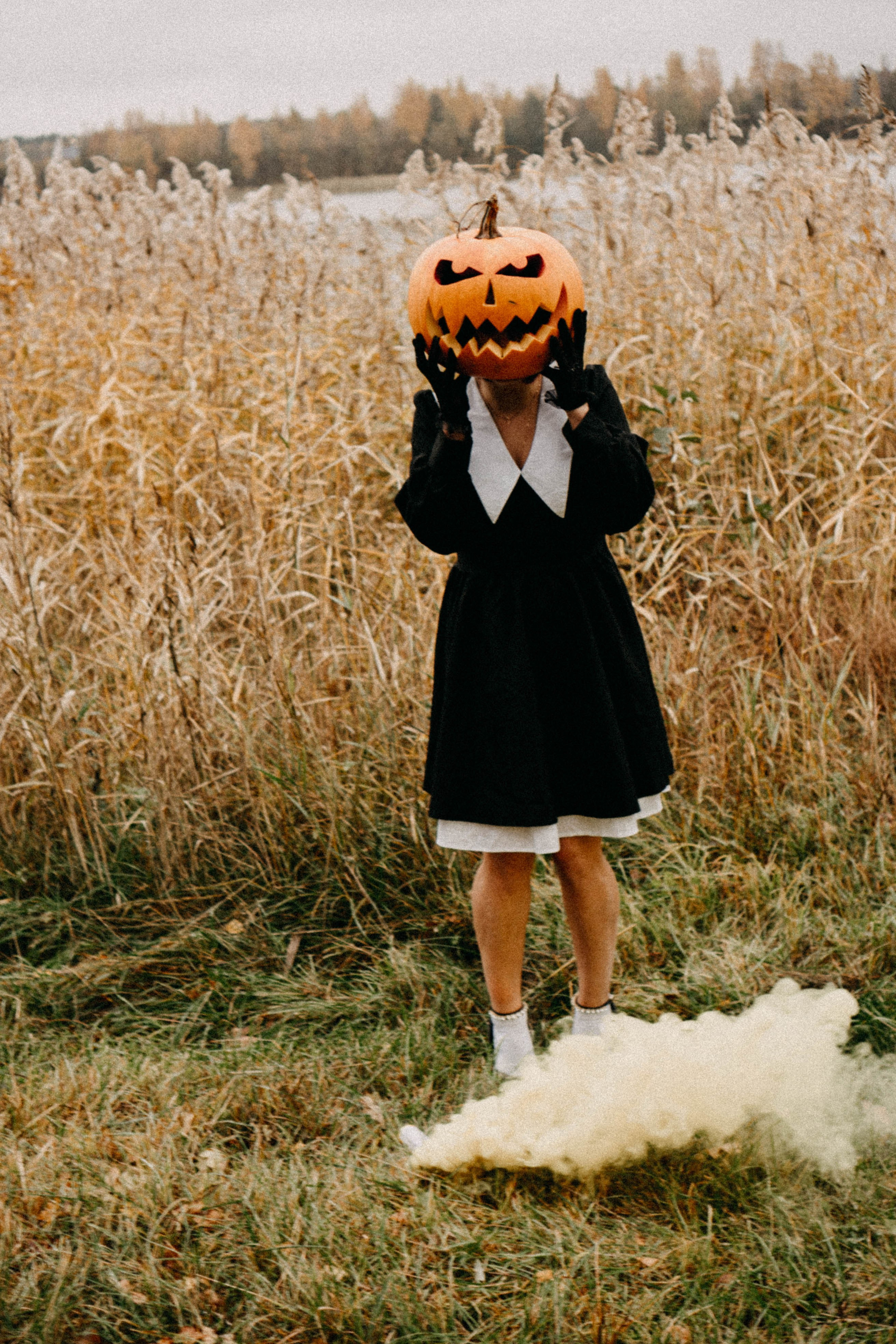 Осеняя. Профессиональный фотограф, Санкт-Петербург — Виктория Богомолова