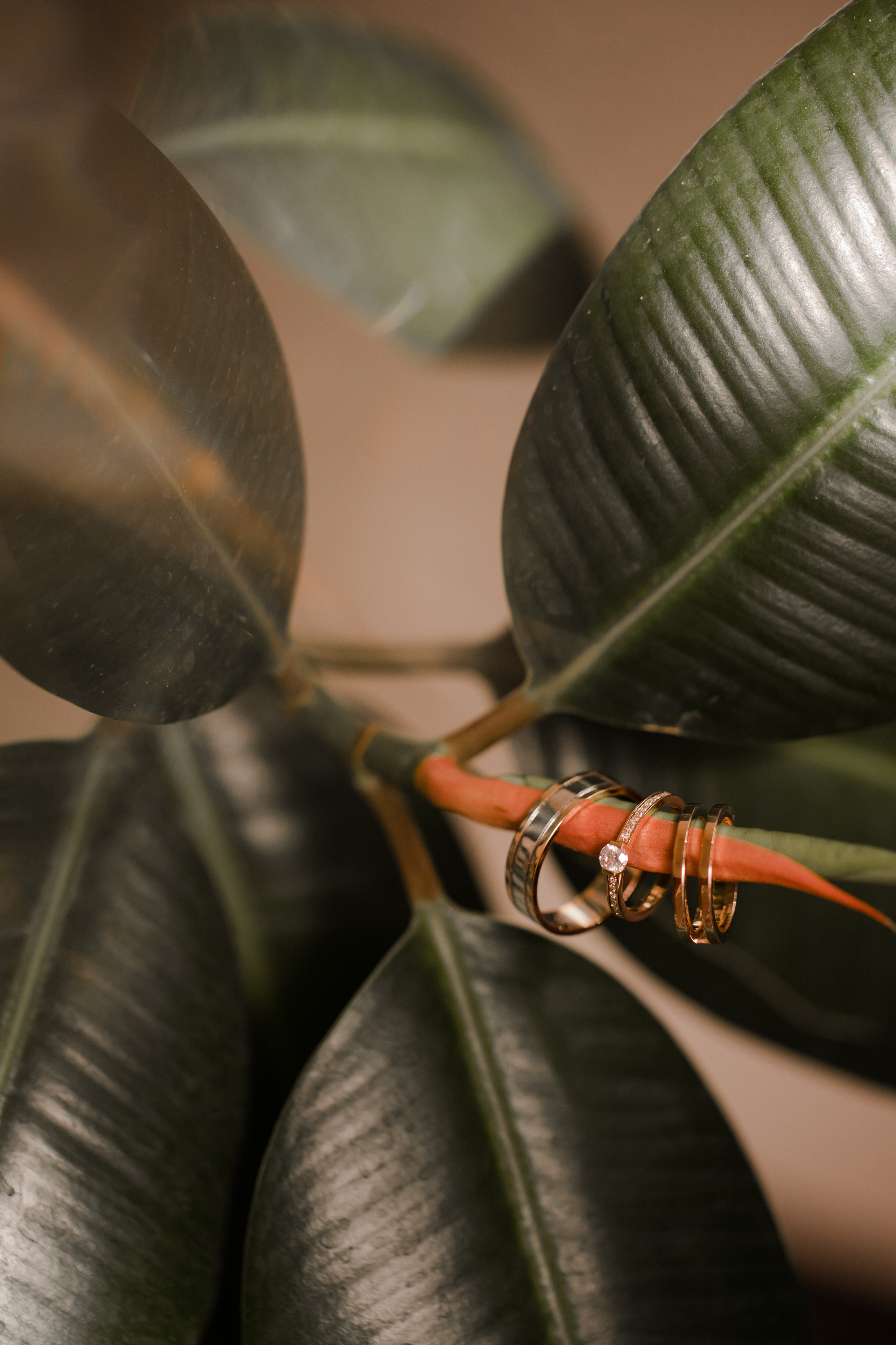 Вася и Марина. Семейный и детский фотограф в Москве Кузьмина Мария