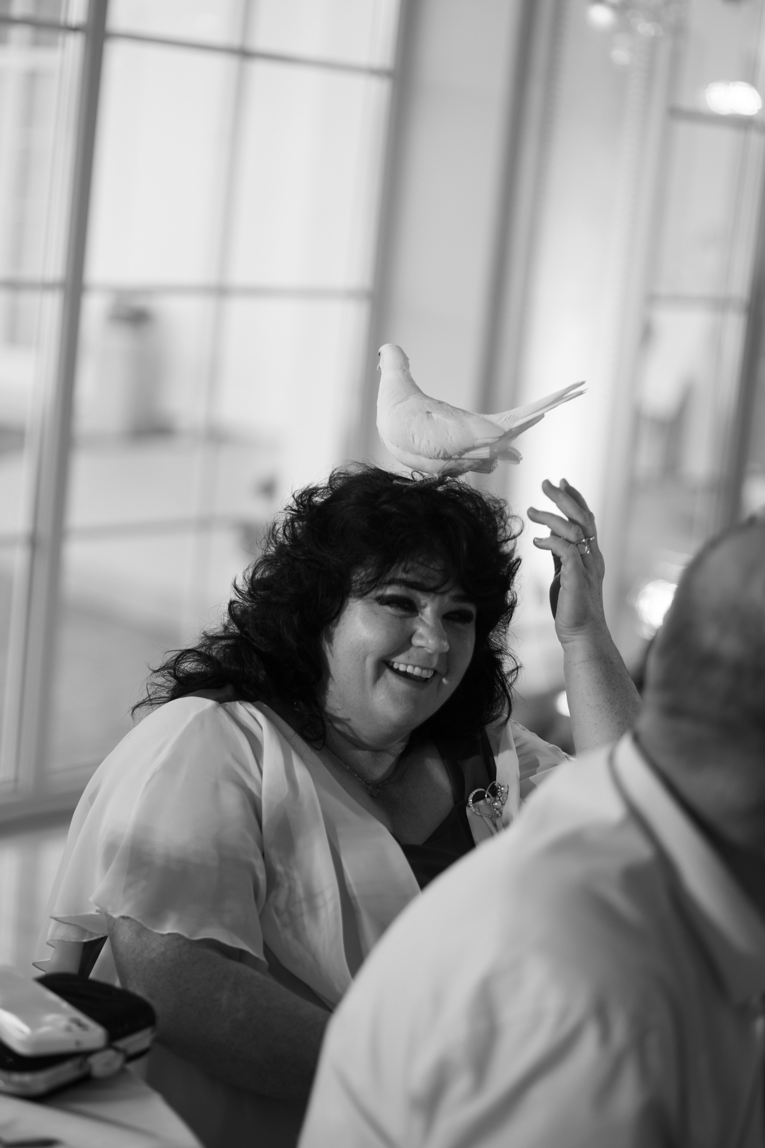 Полина и Даниил. Свадебный фотограф Минск РБ