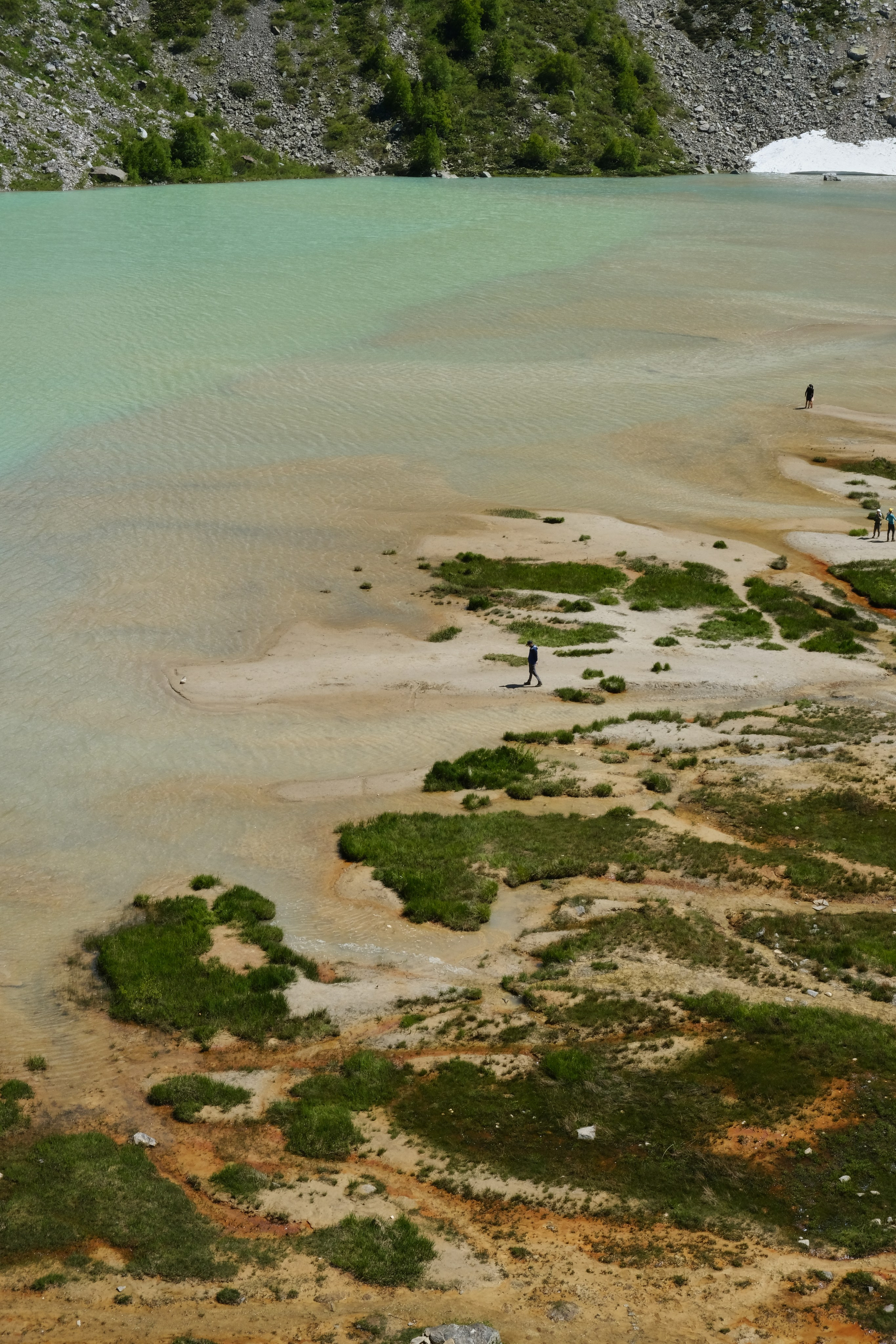 Nature. Photographer Mary Sergo