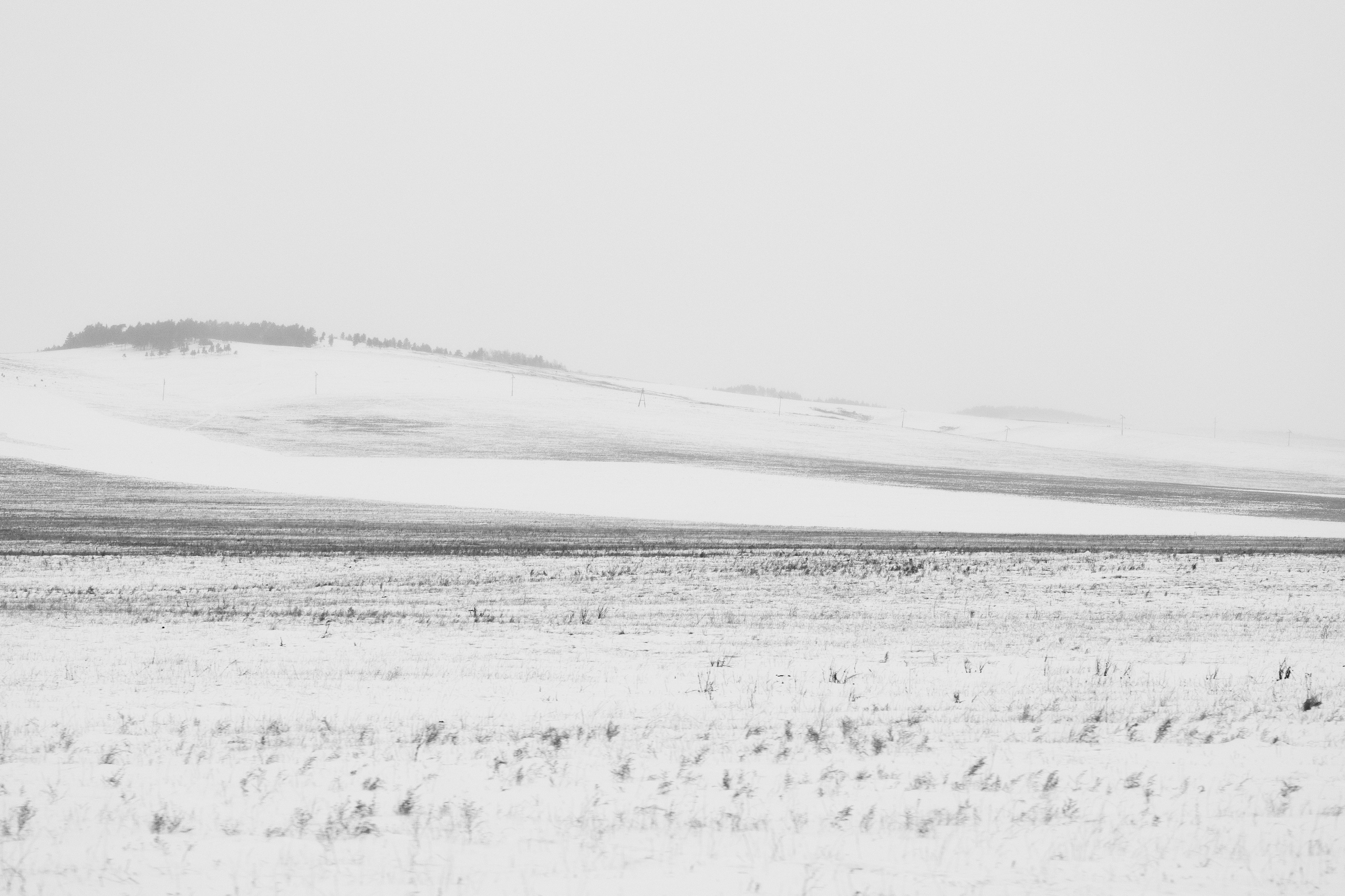 Silence. Irina Borodina