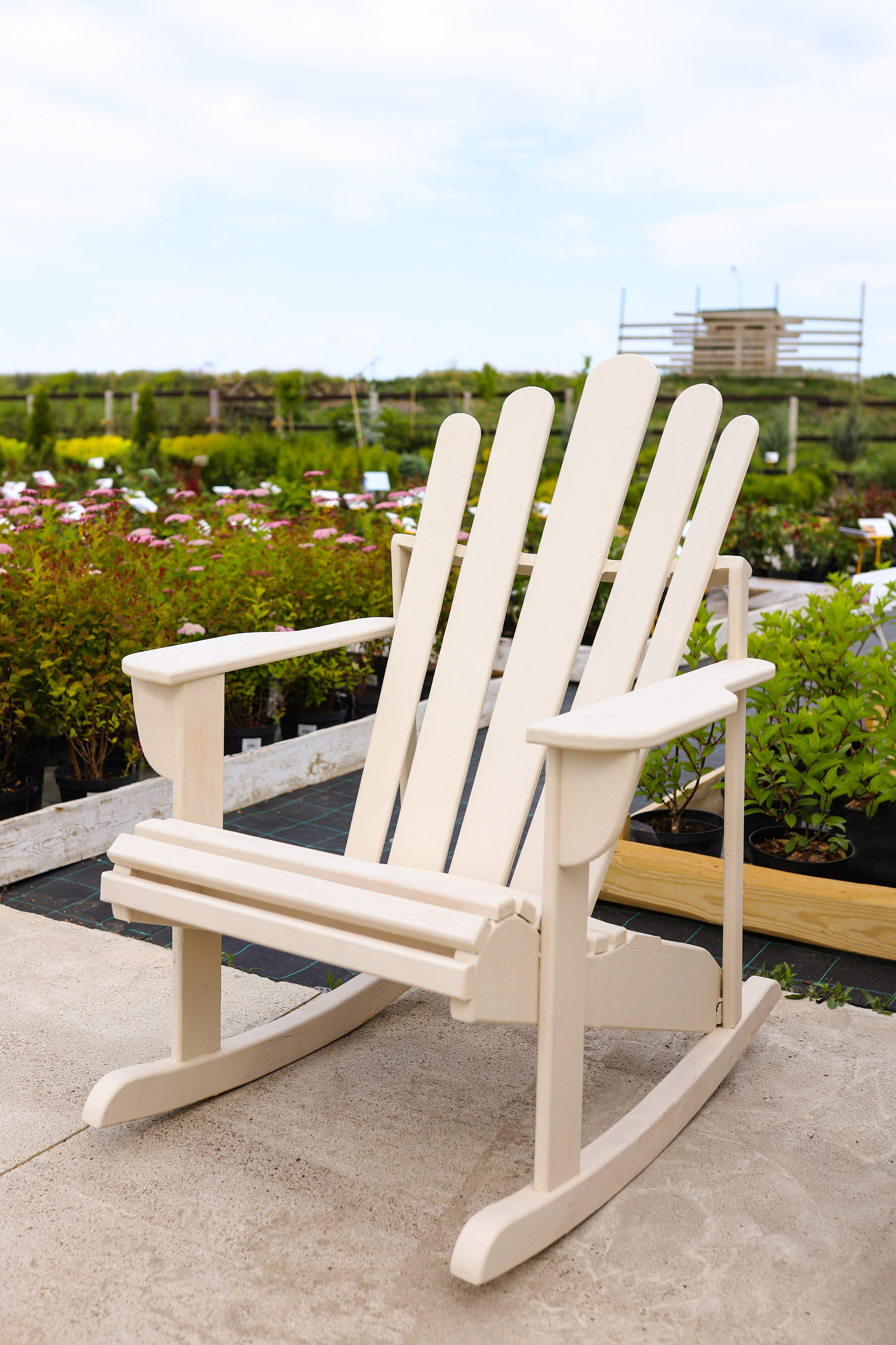 Садовый центр. Фотограф Эмилия Сафиуллина