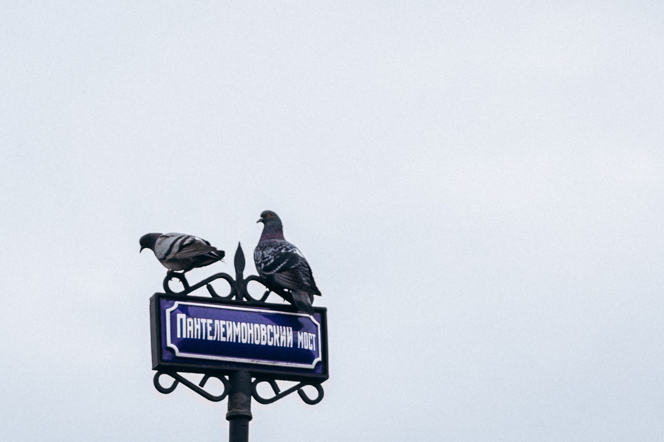 Максим и Юлия в апреле. Фотопрогулка в Петербурге. Индивидуальный и семейный фотограф в Санкт-Петербурге