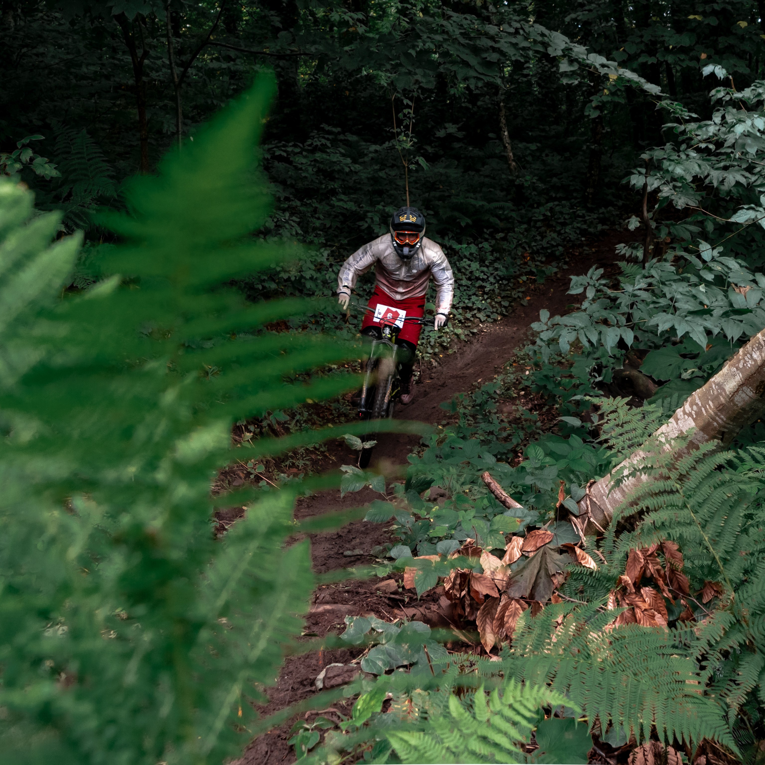 Репортажный фотограф в Красной Поляне и Сочи Павлюченко Екатерина