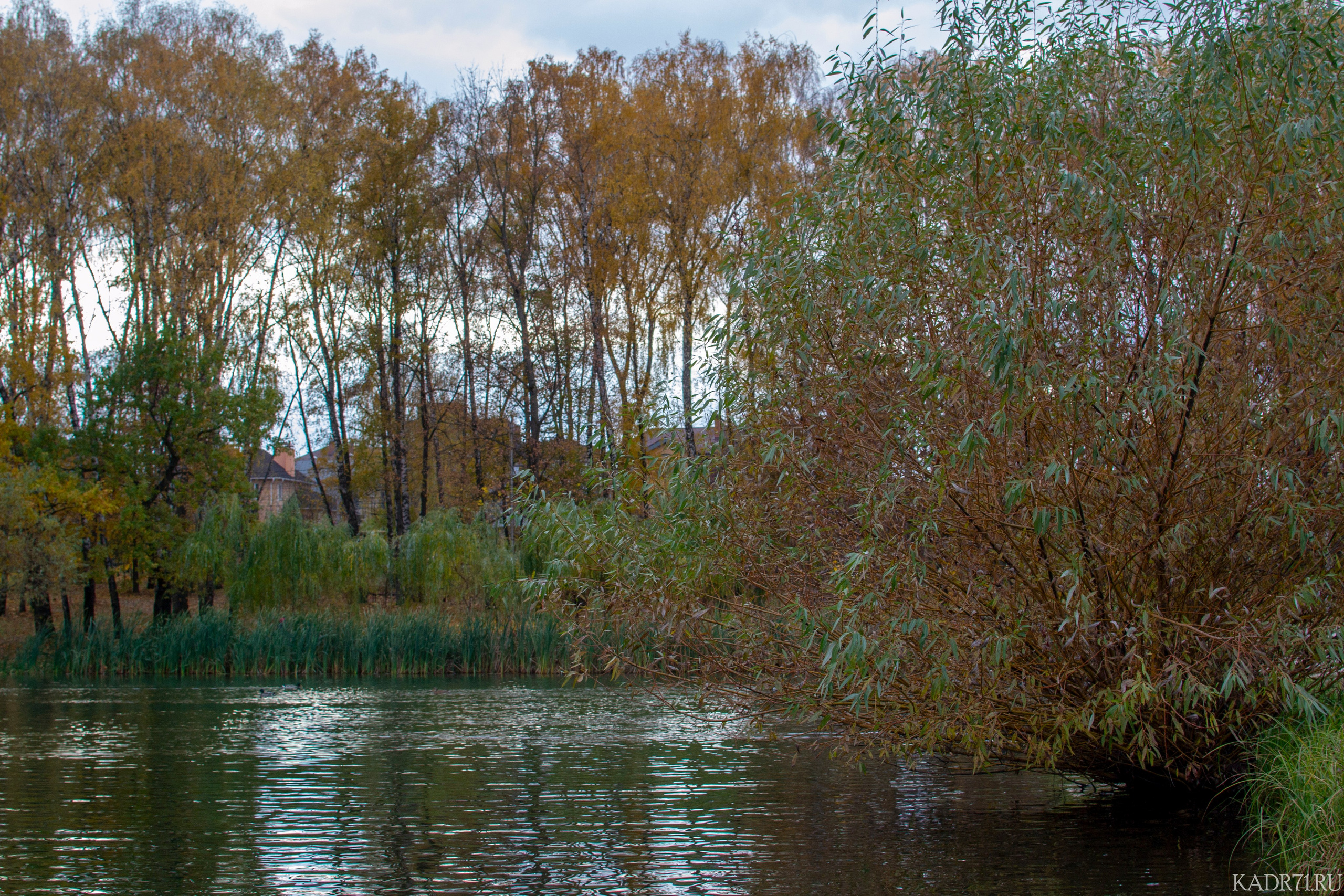 Центральный парк культуры и отдыха им. П. П. Белоусова. Фотограф в Туле Крупский АнДРей. Фотостудия «КАДР71» в Туле
