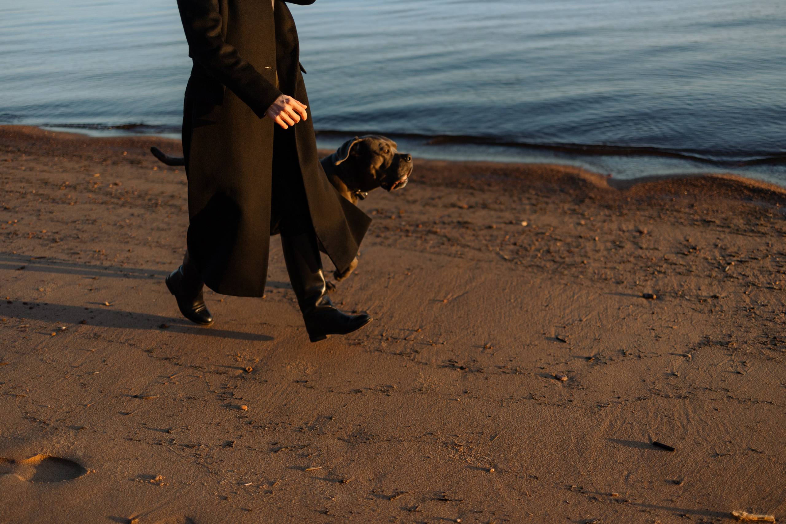 Анна и Лана. Фотограф — Анималист | Санкт-Петербург