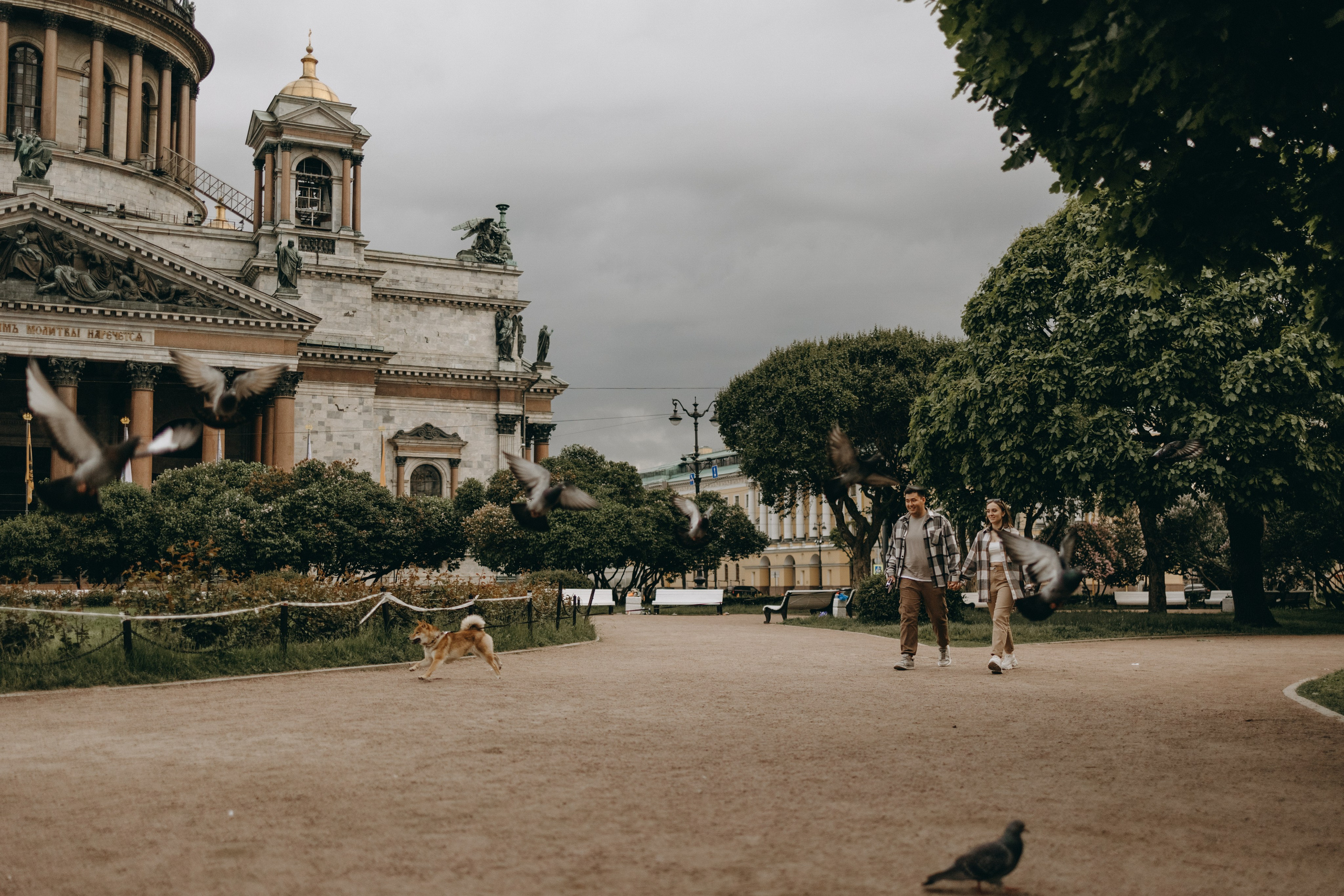 Сириус и его семья. Фотограф — Анималист | Санкт-Петербург