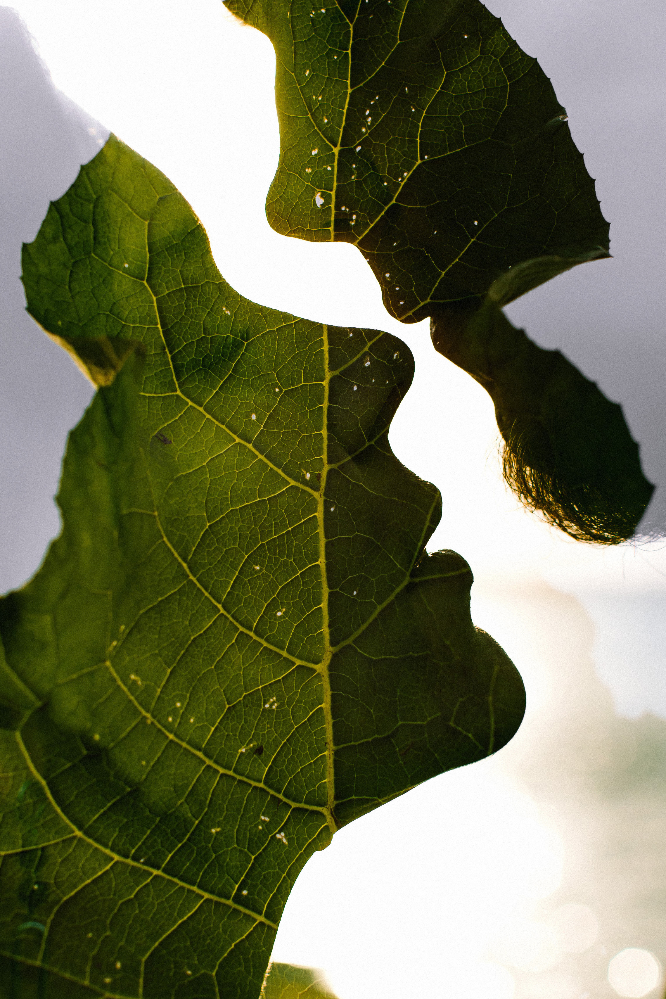 Фотосессия во владивостоке фотограф антон блохин. Фотограф во Владивостоке Антон Блохин