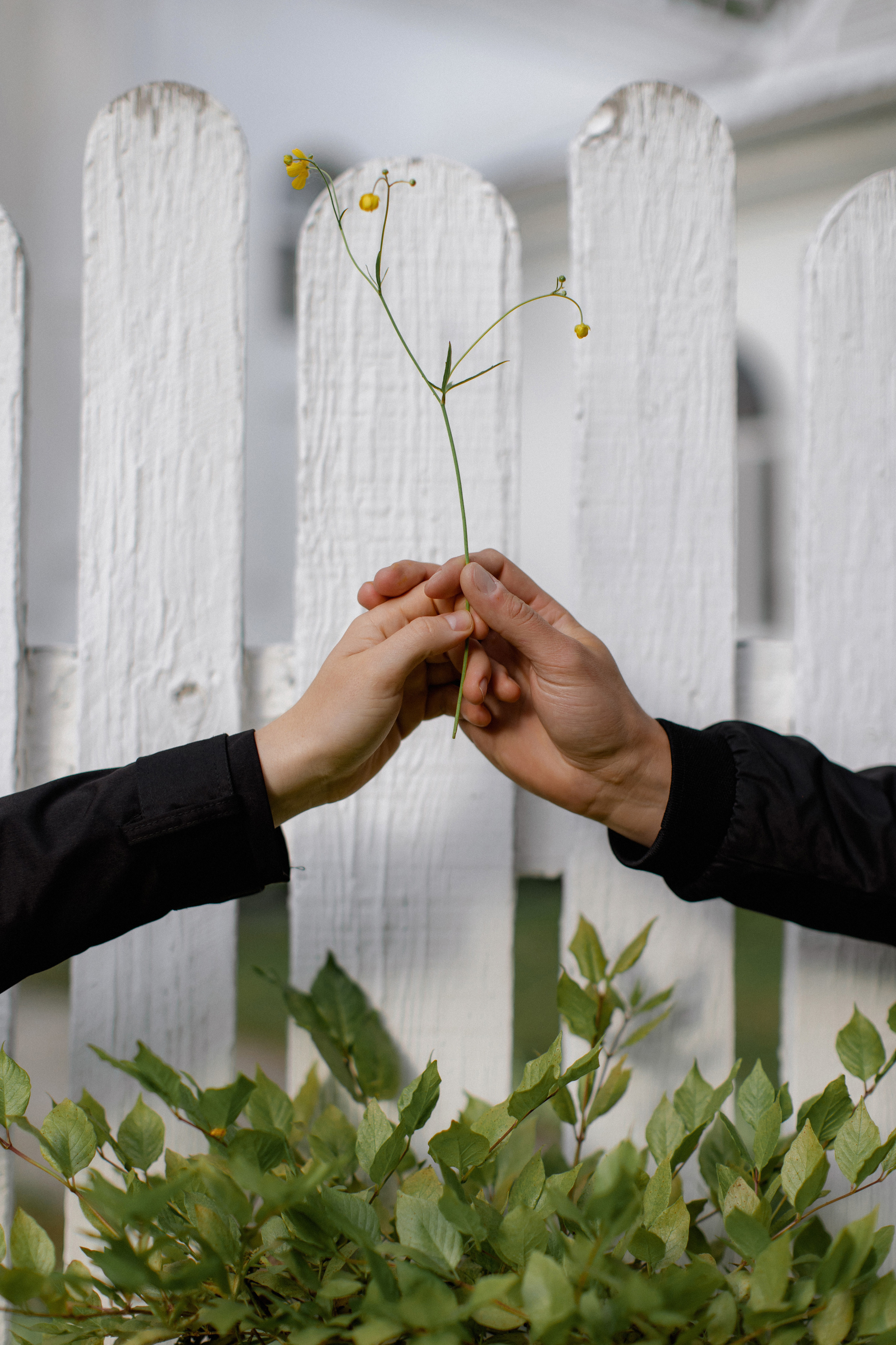 Фотосессия во владивостоке фотограф антон блохин. Фотограф во Владивостоке Антон Блохин