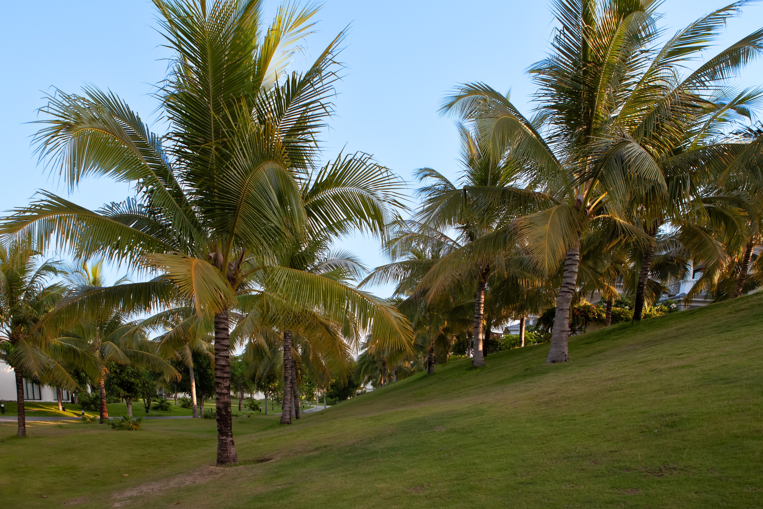 Вьетнам. Vinpearl Long Beach. Мой фотомир