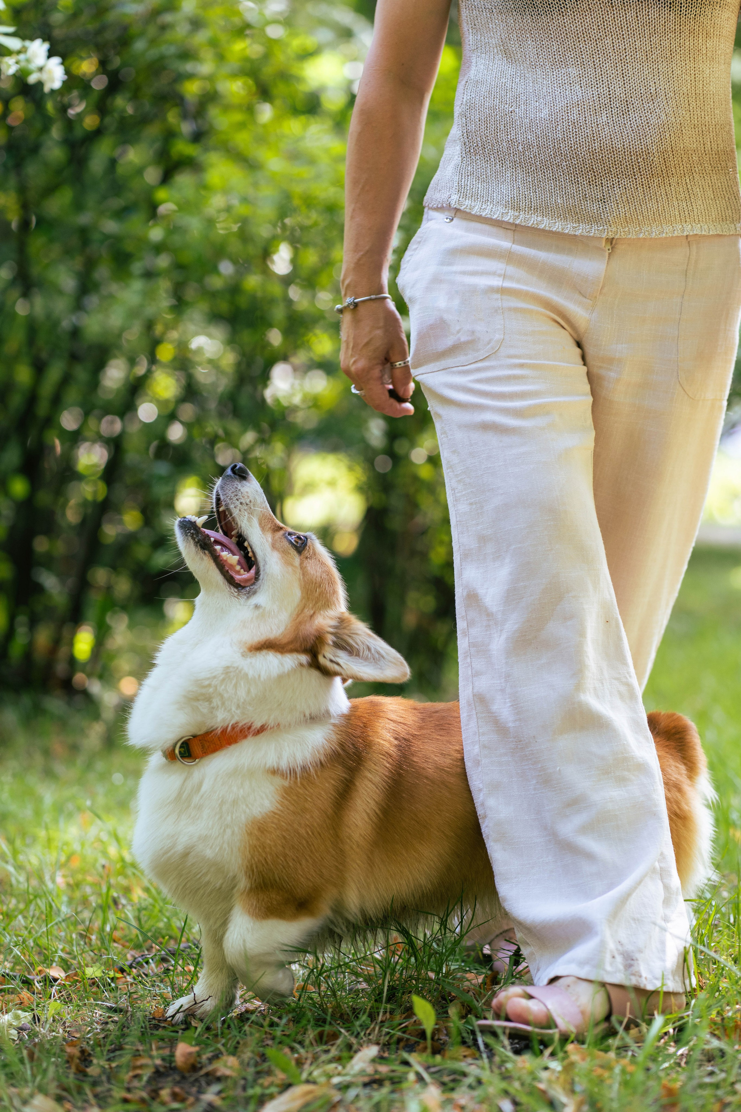 Ольга и коржики. Свадебный фотограф в Москве Анна Полушина