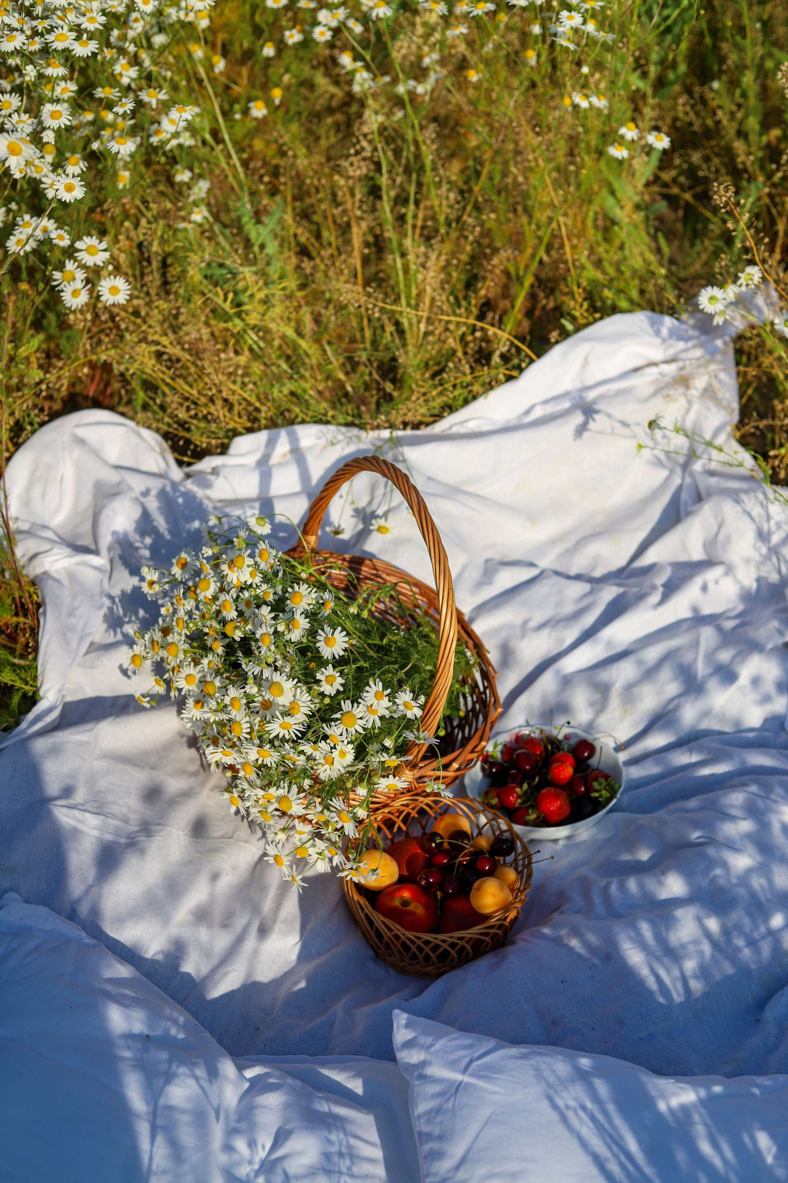 Ромашки Валентина 11.07. Главная
