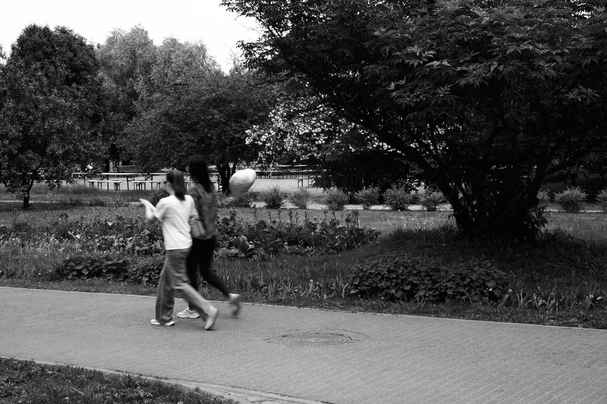 Максим и Софья. Kharchenkotatianaweddingphoto