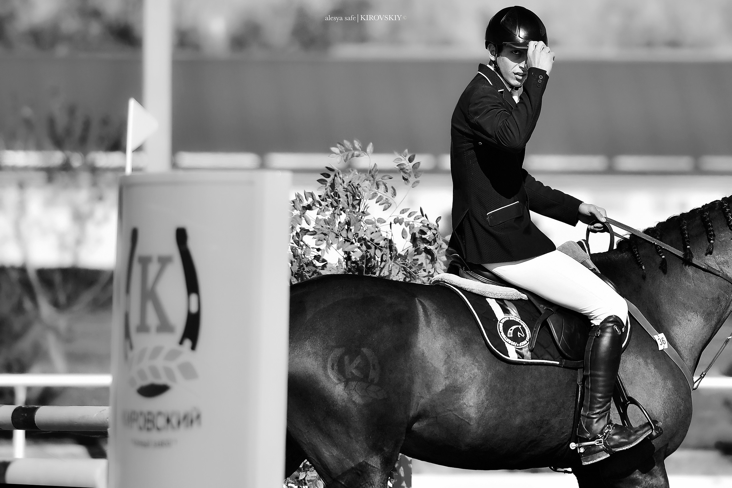 Кировский конный завод. Конный фотограф Alesya Safe