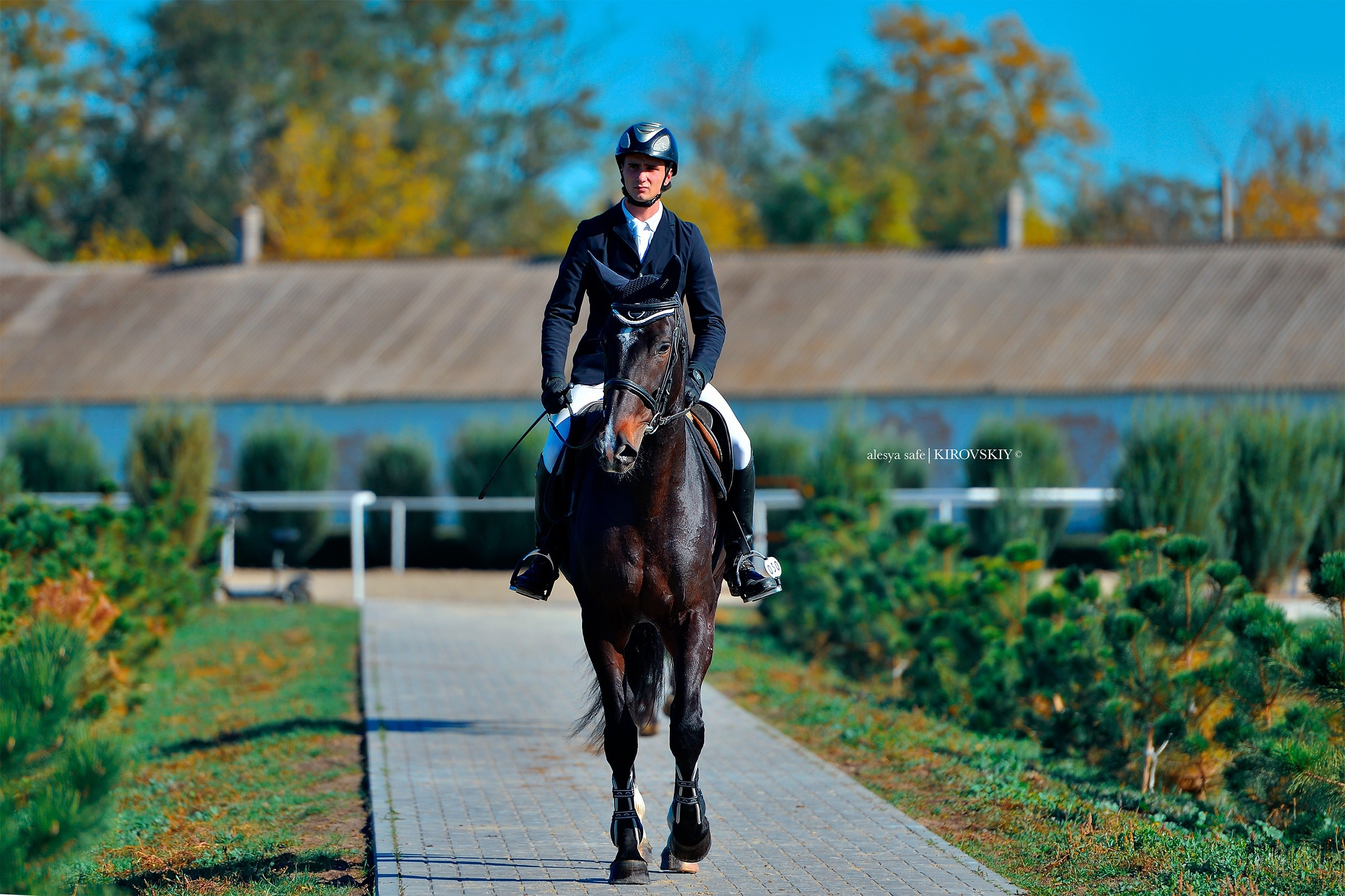 Кировский конный завод. Конный фотограф Alesya Safe