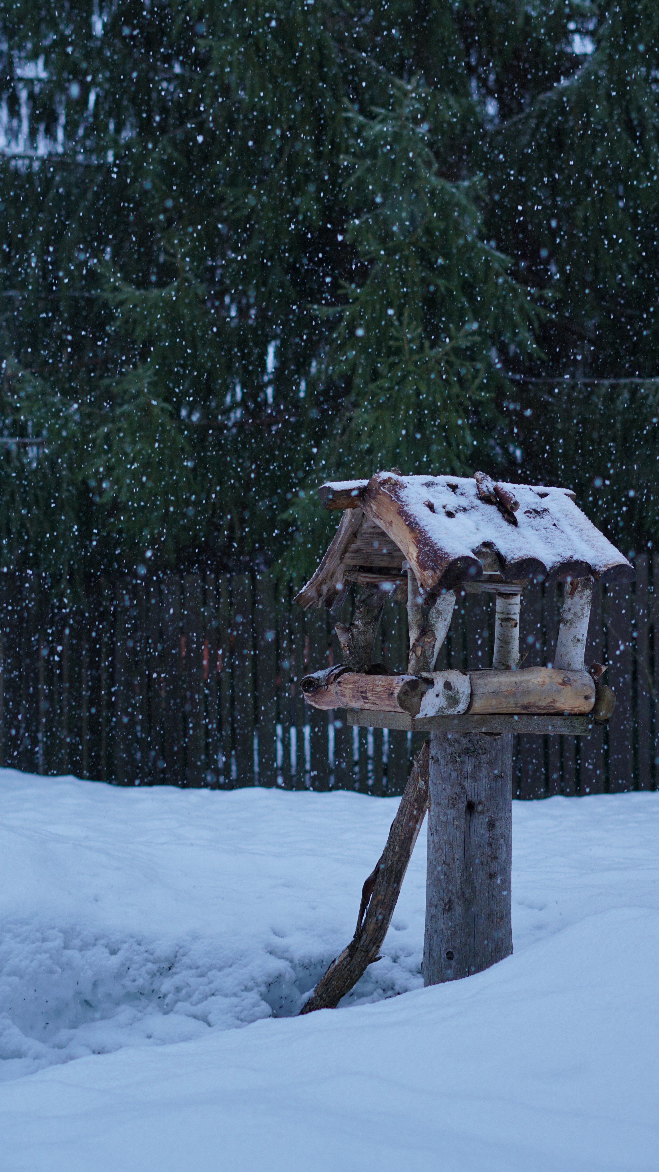 Разное. Фотограф в Санкт-Петербурге Виктория Барышникова