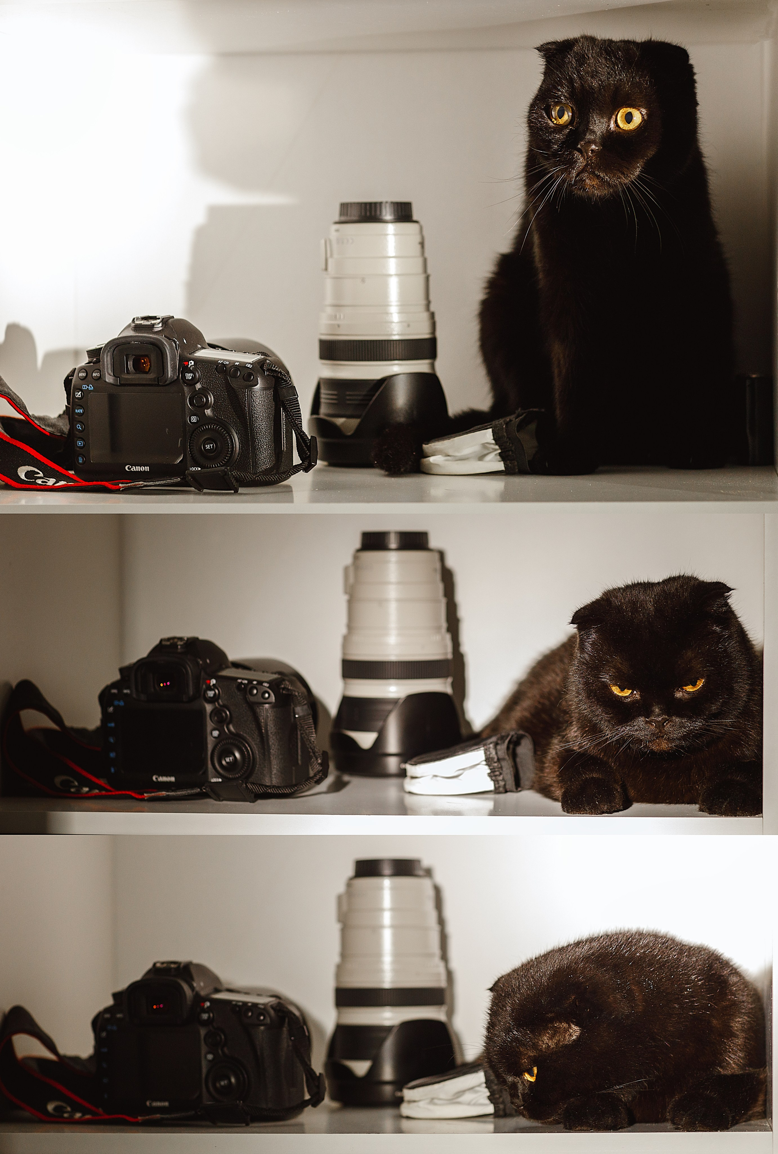 Проект «366»|2024|Фото каждый день. LENA GRACE photographer ||ЛЕНА ГРЭЙС фотограф