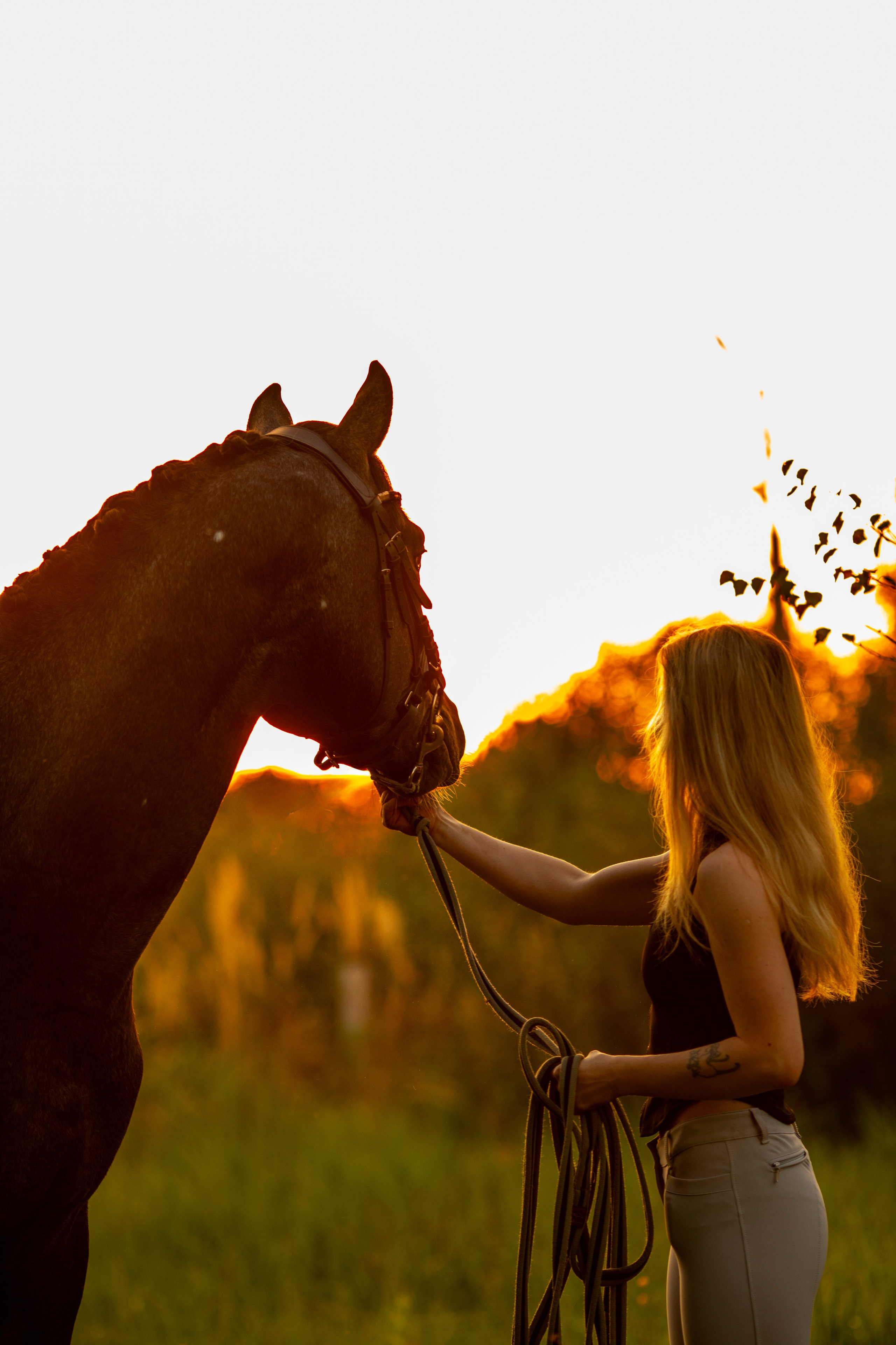 С лошадьми. Фотограф в Москве и в Московской области Сандра