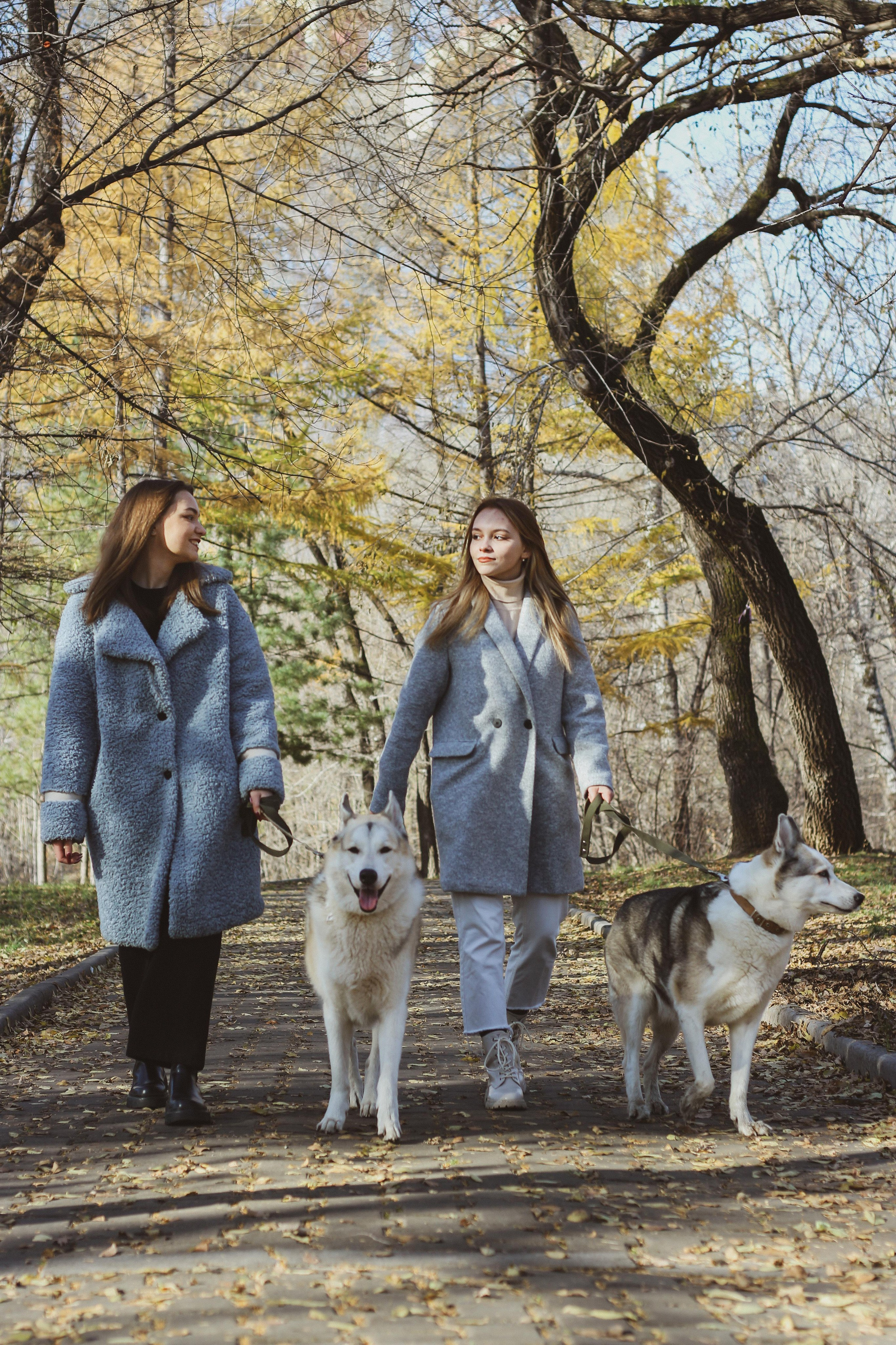 Прогулка 1. Алиса Томшина — Фотограф / Видеограф