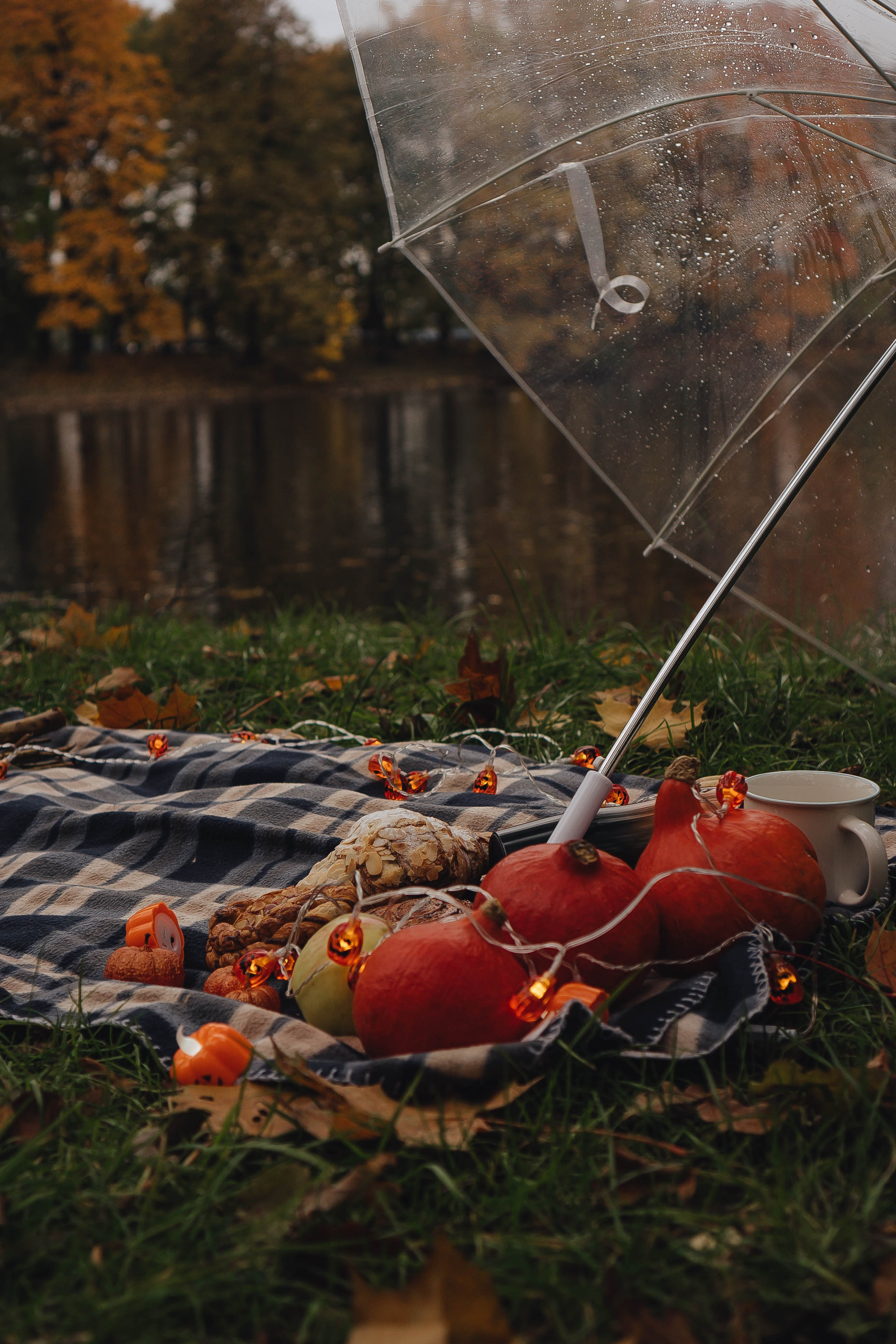 Осень. Профессиональный фотограф, Санкт-Петербург — Виктория Богомолова