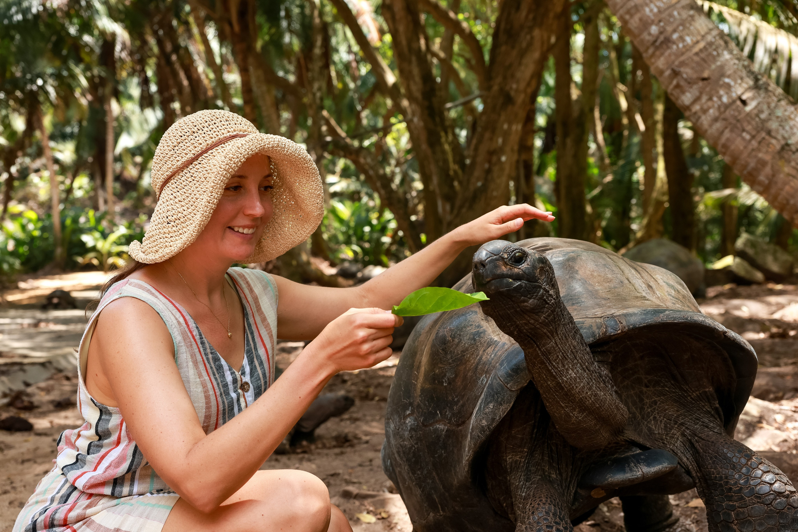 Сейшелы. Дарья Бухреева — фотограф, видеограф и фототерапевт. Москва и мир