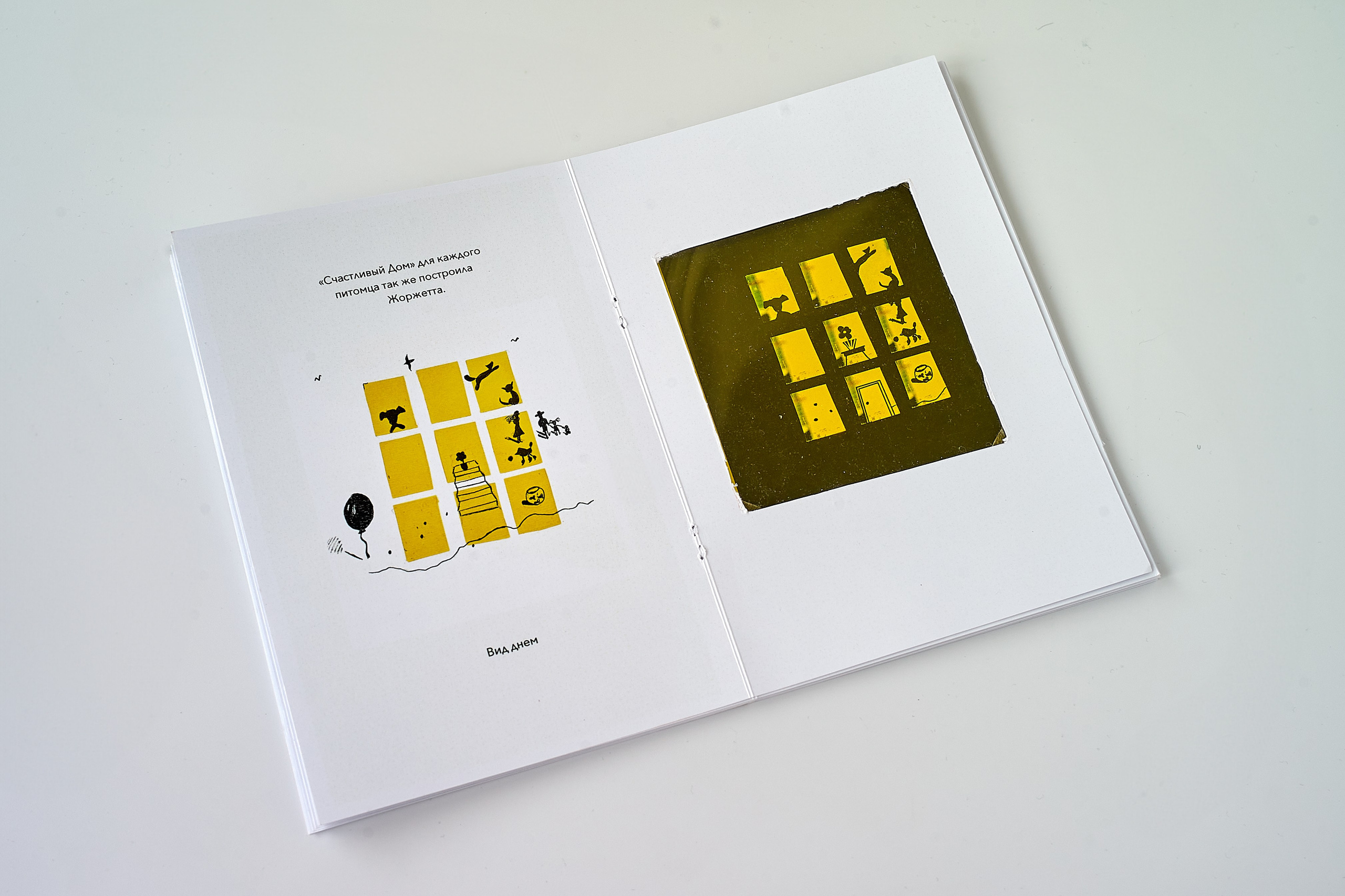 Guide to the Magical Forest