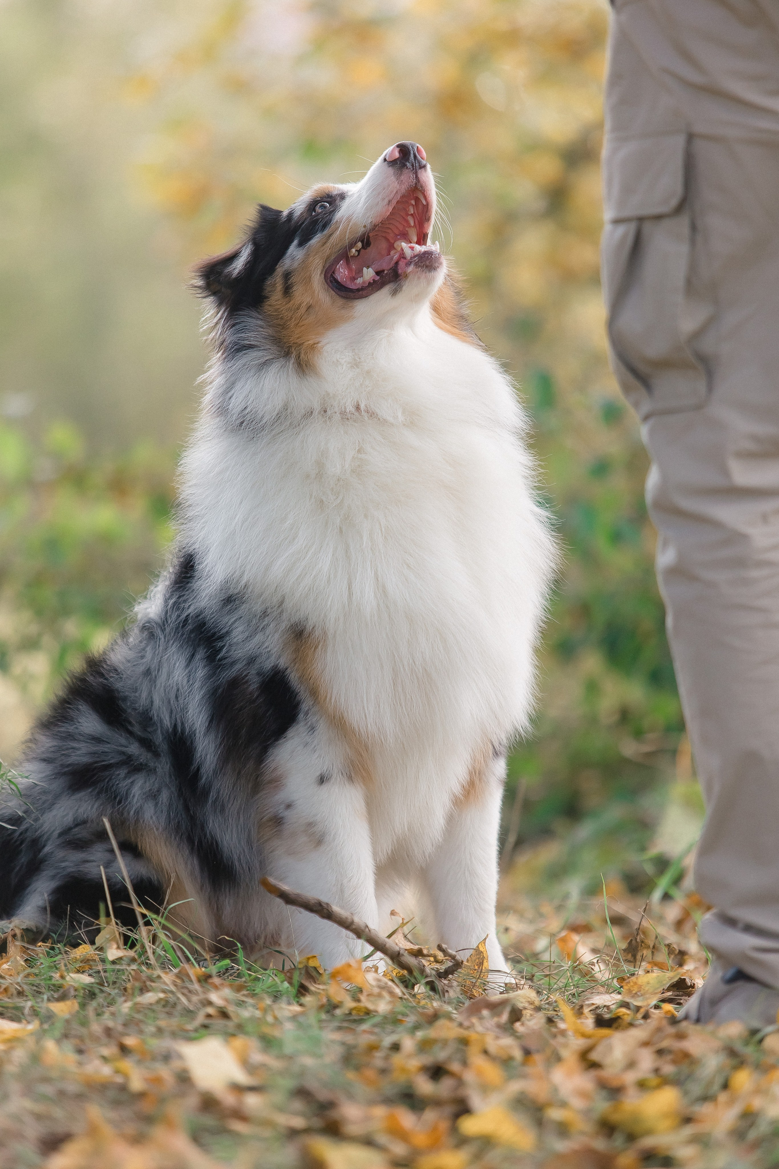 Аусси Дэймон. Свадебный и женский фотограф