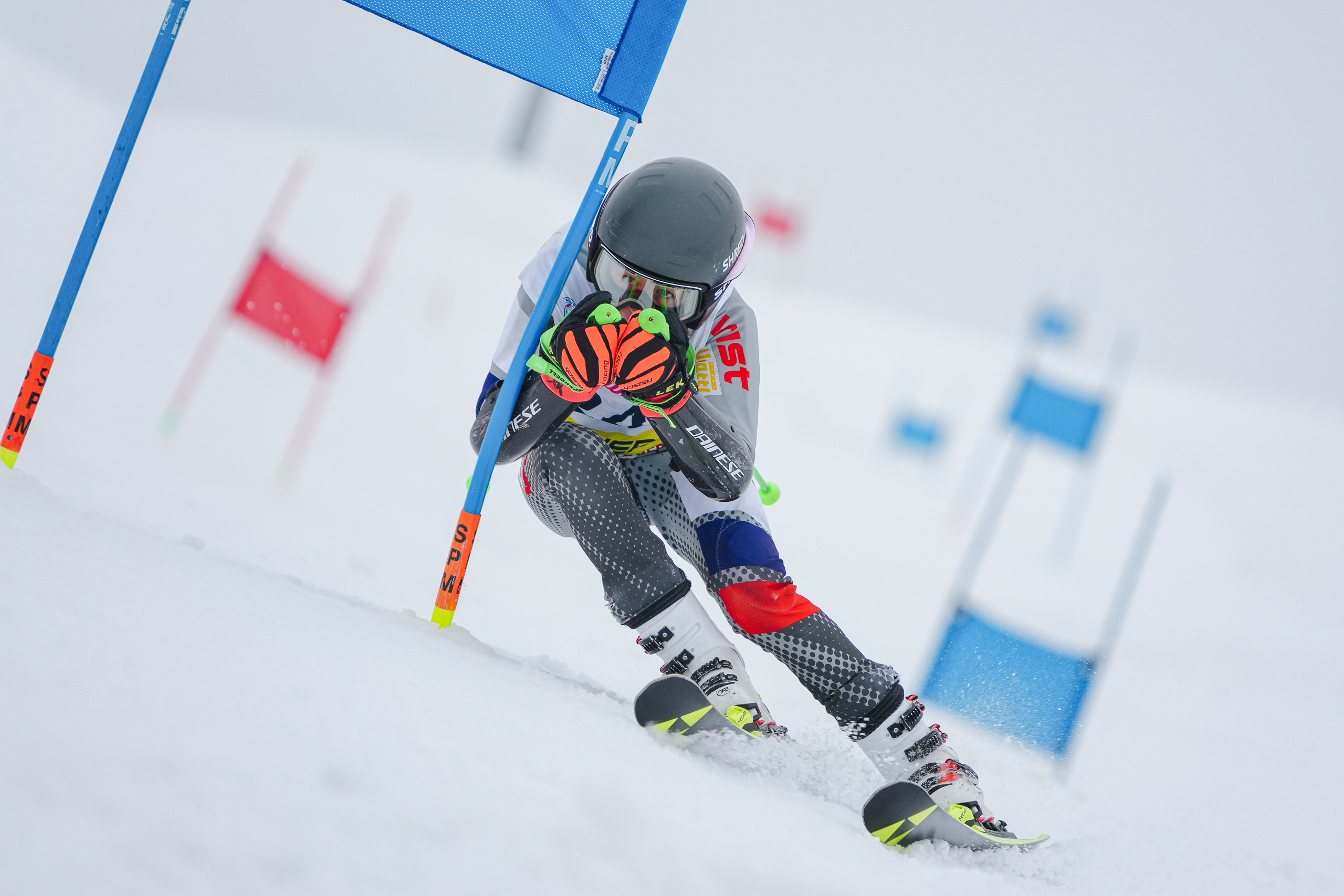 GS (Giant Slalom) - Слалом-гигант. Соревнования по горнолыжному спорту. Московская область, Шуколово