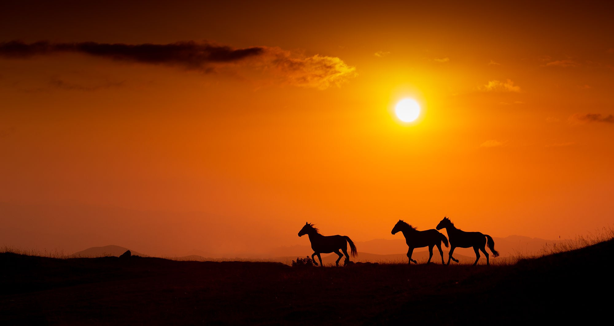 Свадебный фотограф  Геленджик