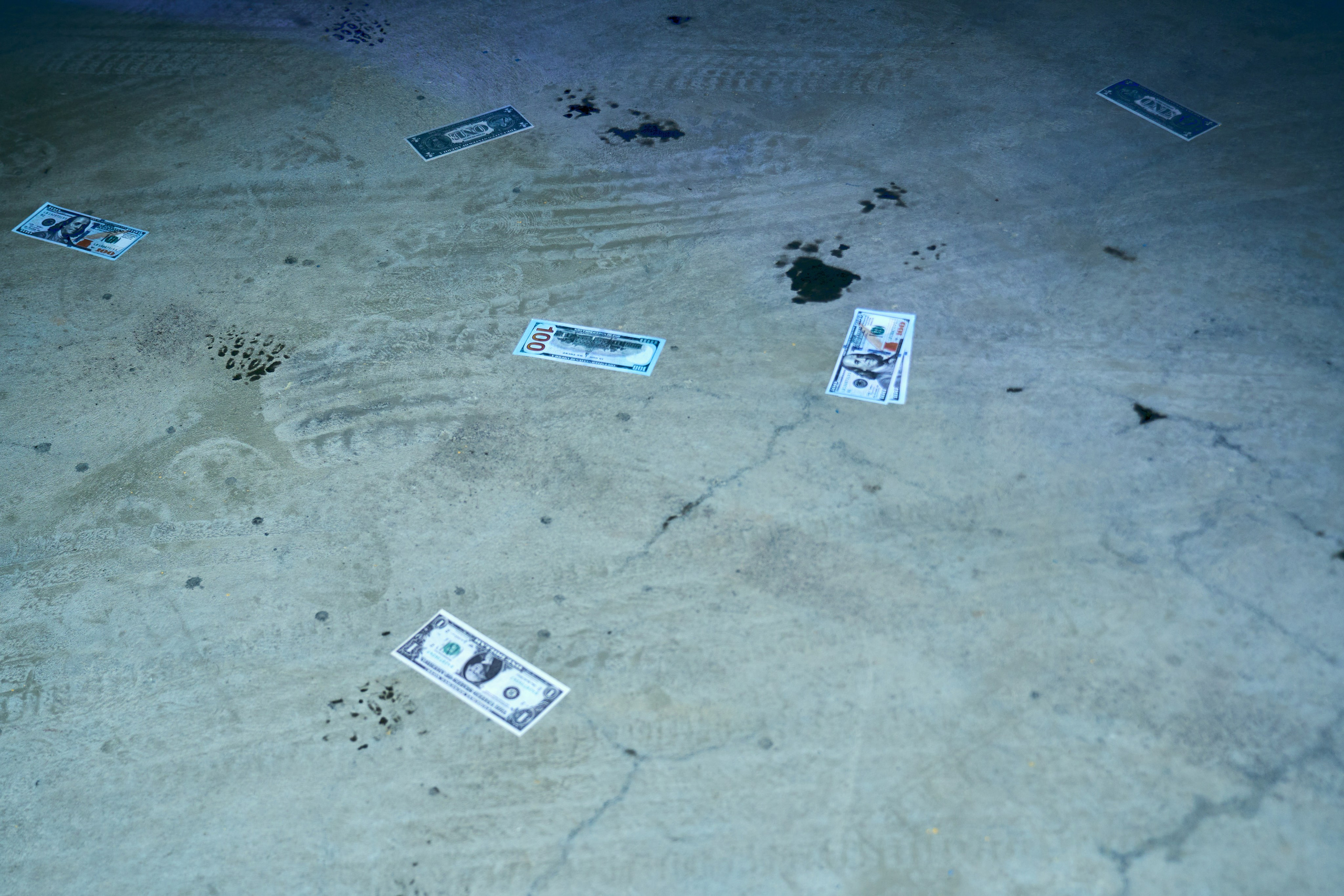 Dollars Car Party. Фотограф во Владивостоке