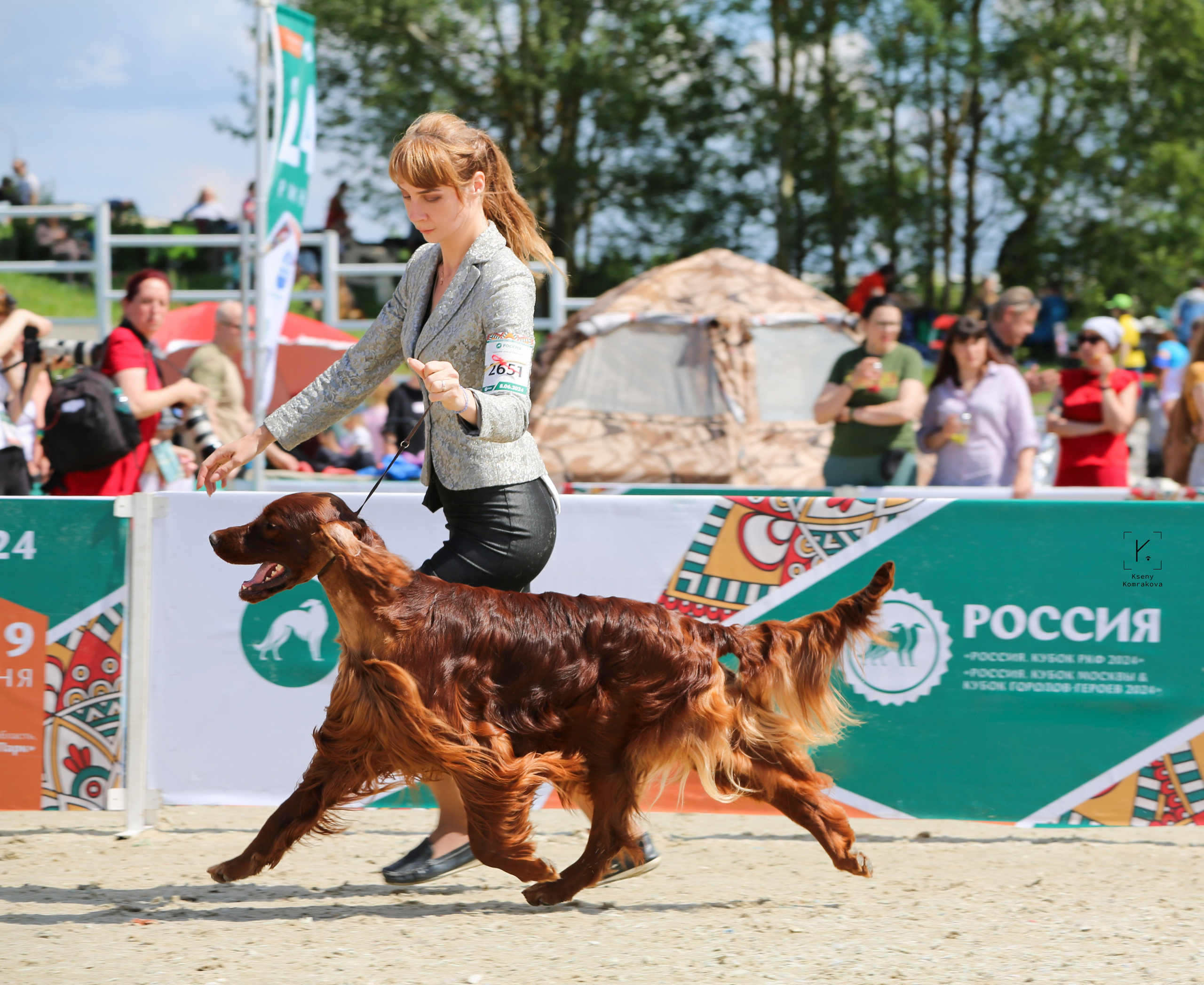 Анималистика. Репортаж. Индивидуальная съемка