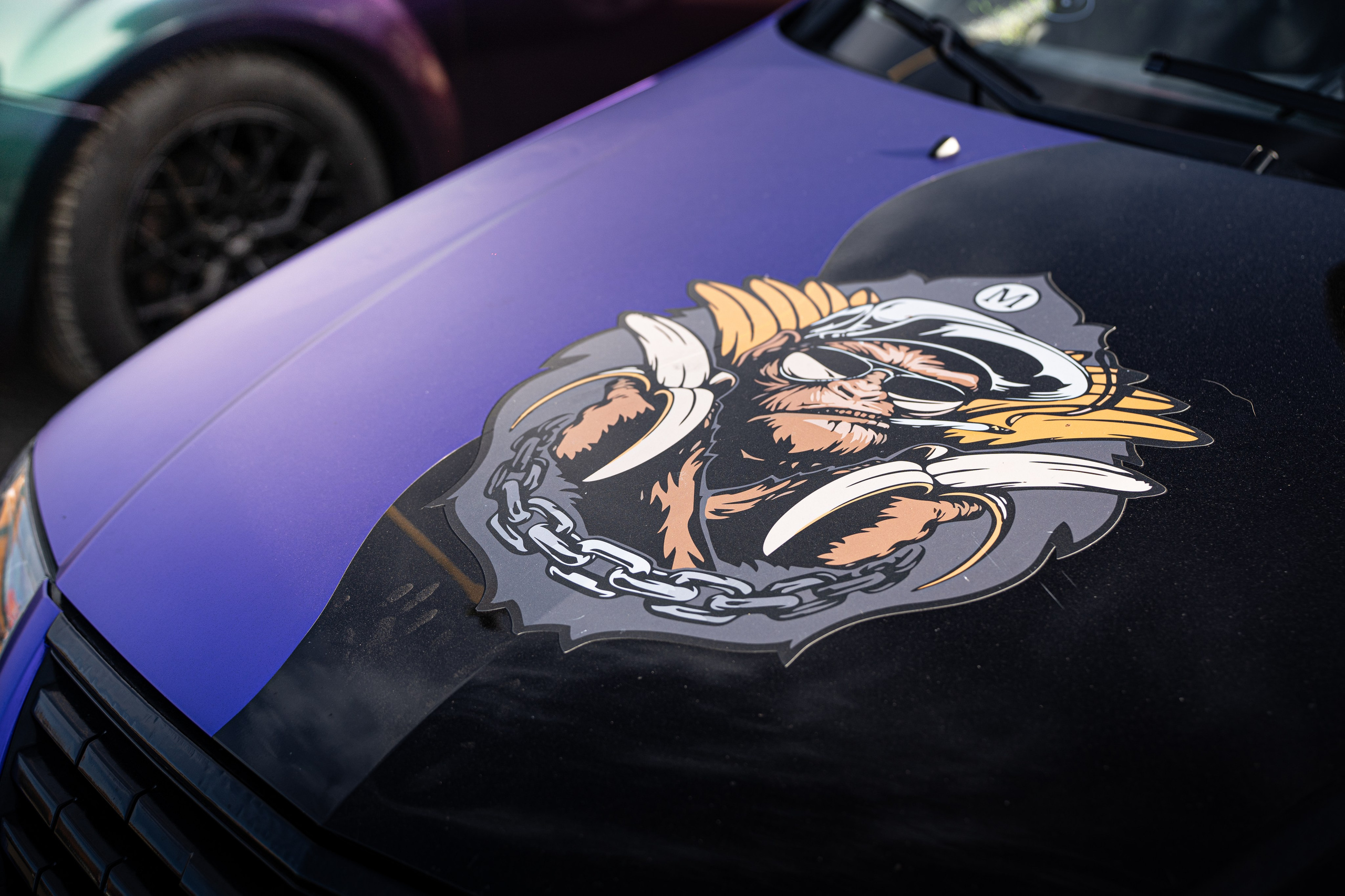 ЗВУК НАД ВОЛГОЙ 2026. OZ Production