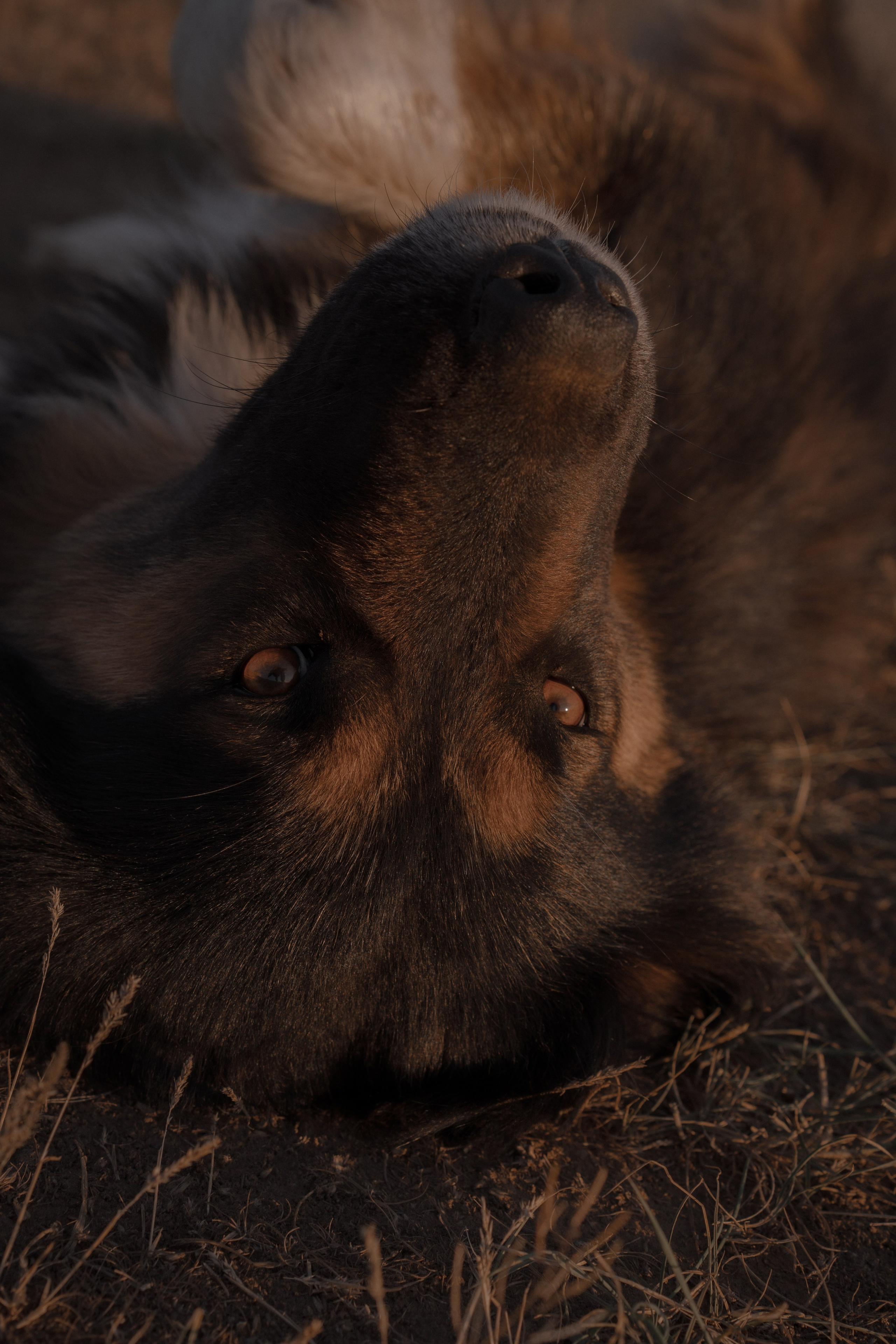 Калмыкия I Май 2024. Commercial photographer Natalia Bychkova