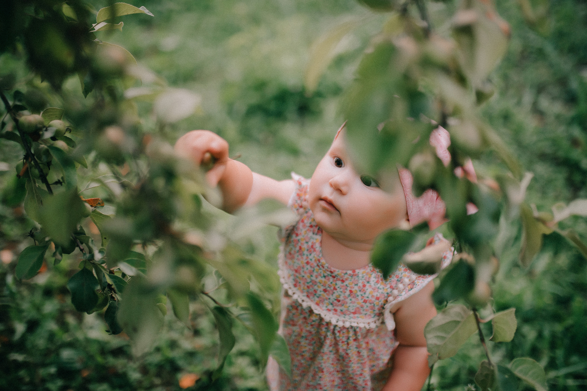 Семеновы. Фотограф Игорь Гуменников Удмуртия Шаркан