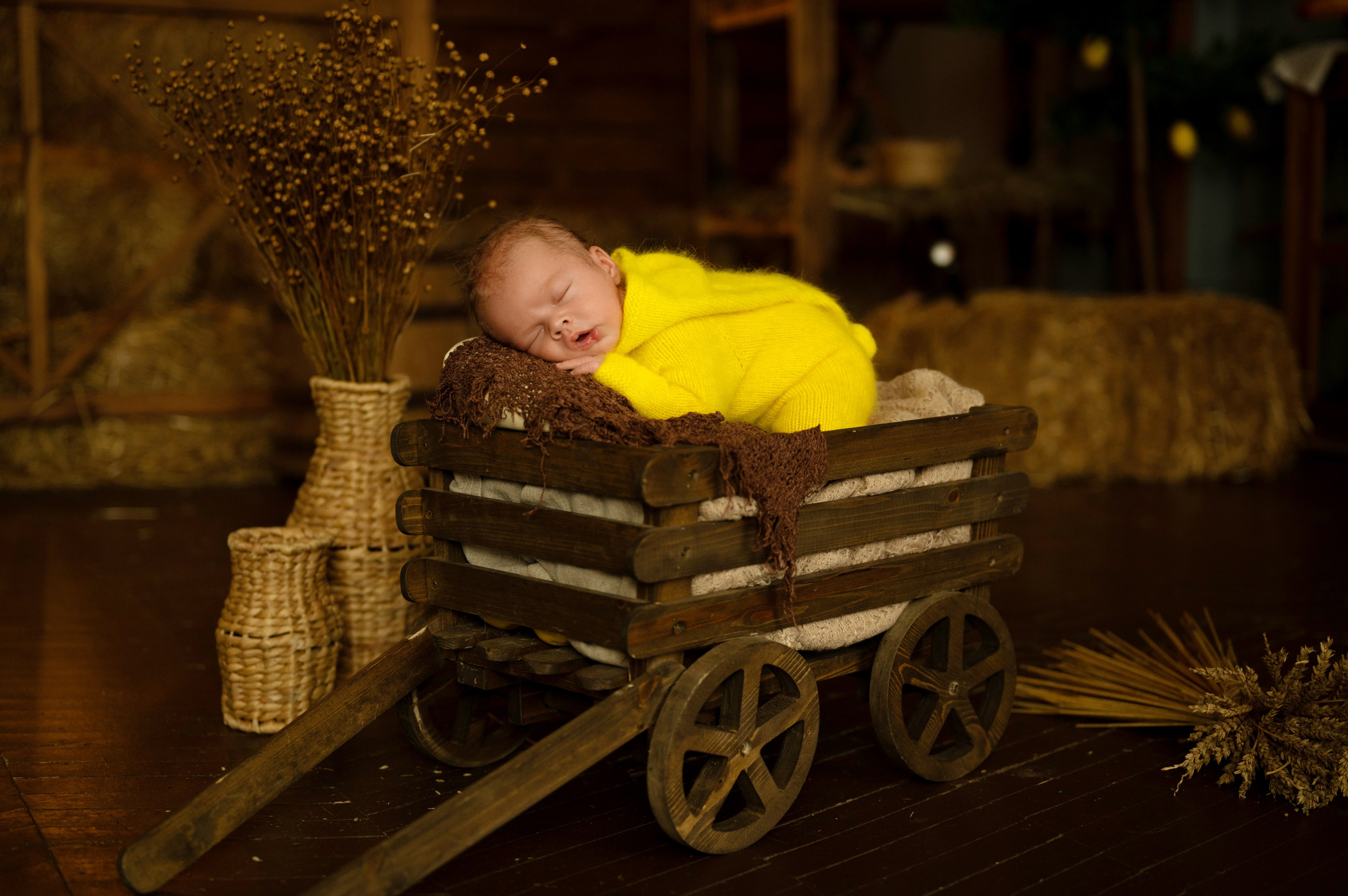 Павлуша и утята. Фотограф новорожденных, семейный детский в Тюмени Татьяна Морозова