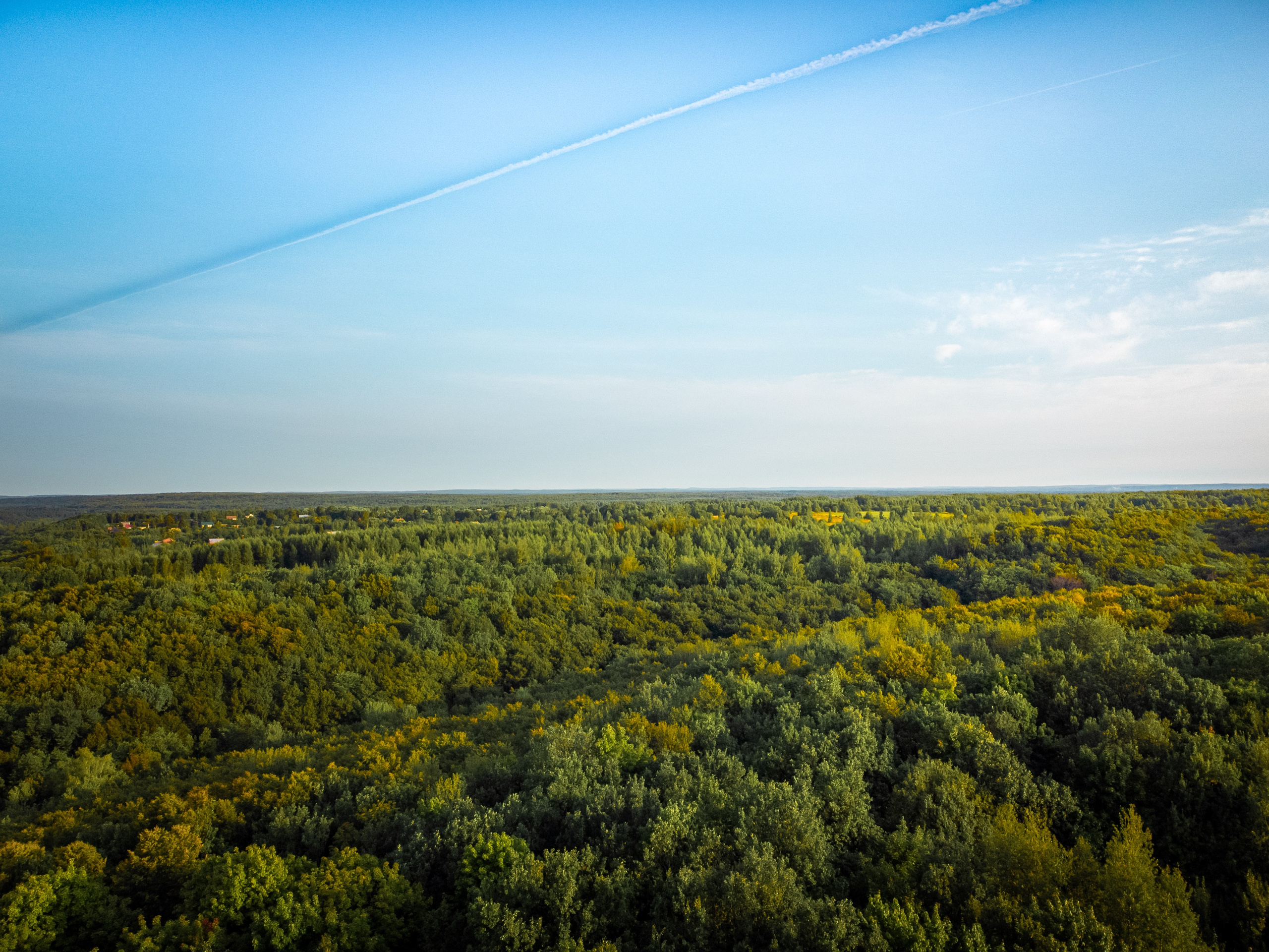Переславль - Залесский, Загородный клуб "ОЗЕРО", Плещеево озеро, национальный парк, небо, трава, лето