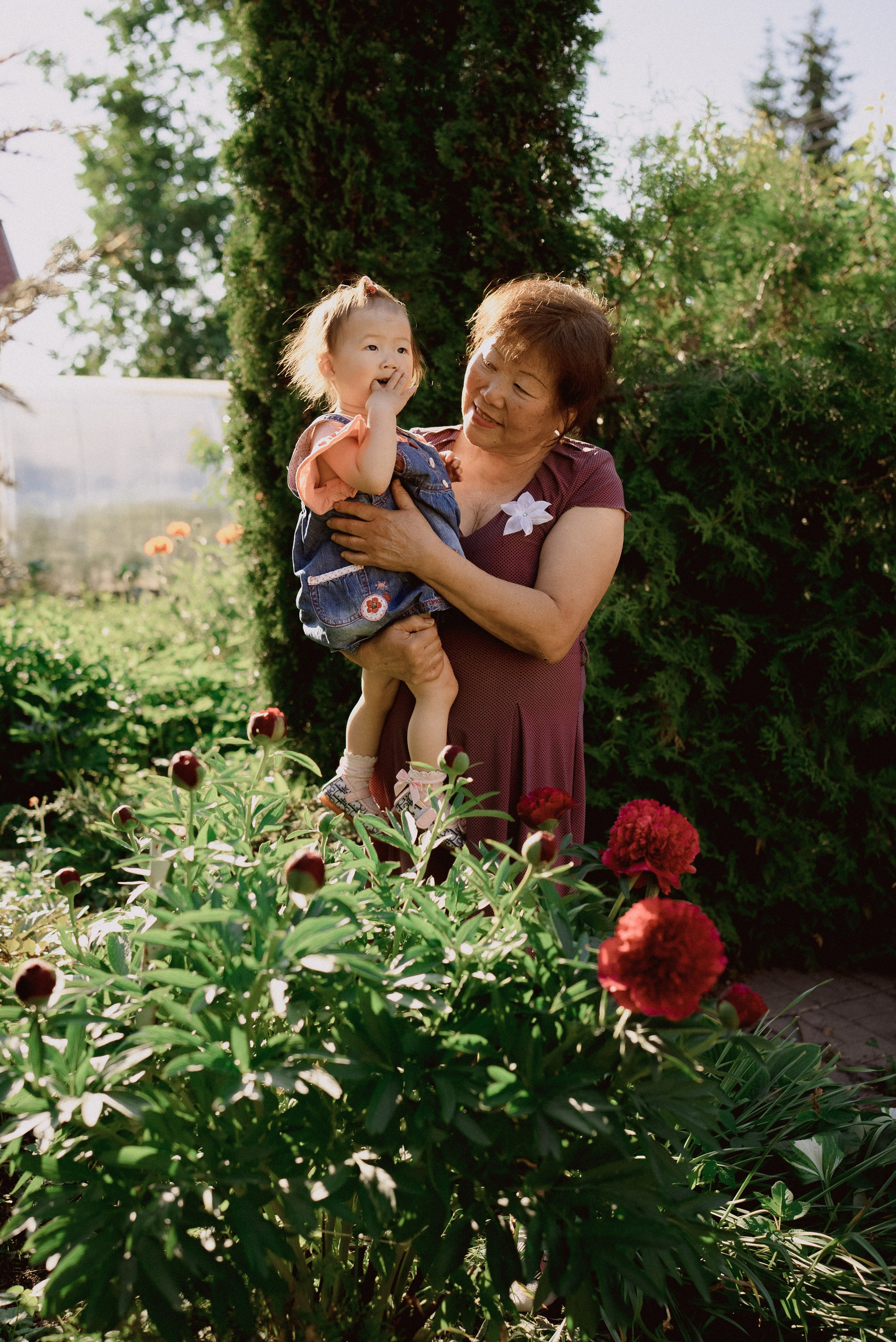 Лето с бабушкой. Семейный фотограф и видеограф Алёна Ким