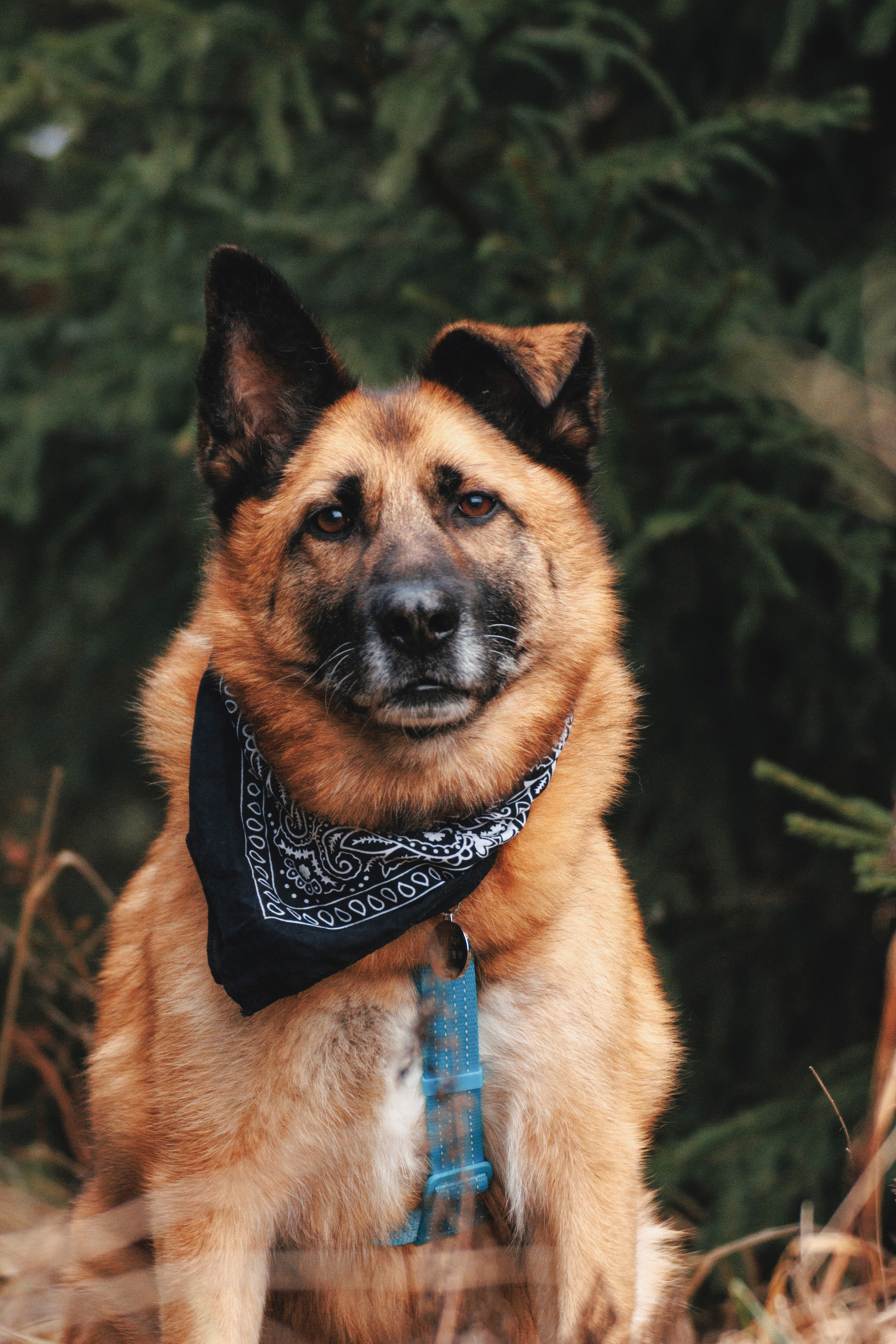 В поисках дома. Стас Соболь, фотограф анималист, репортажник, Москва