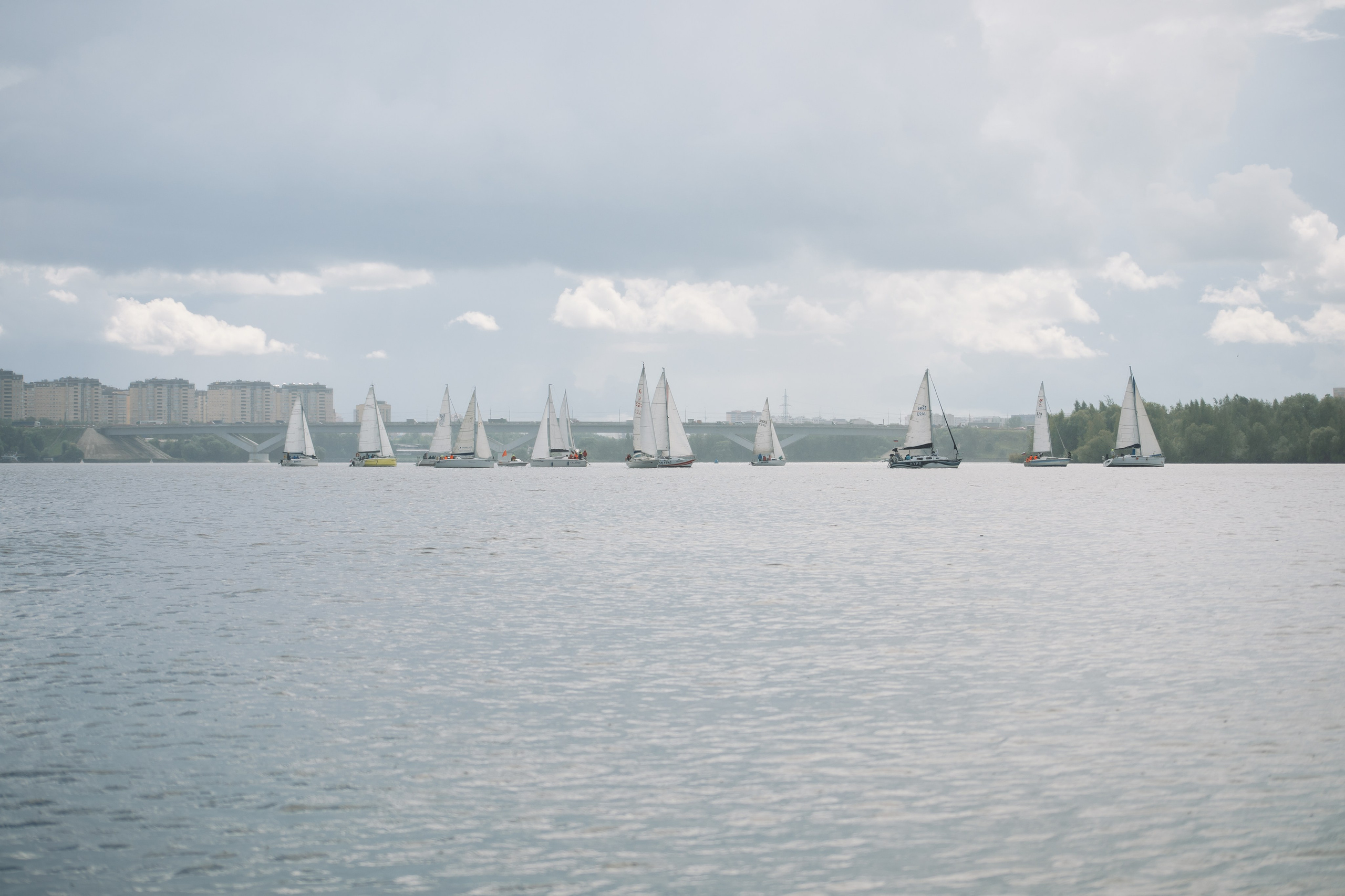 Корпоратив. 2024. Фотограф Москва Мария Захарова