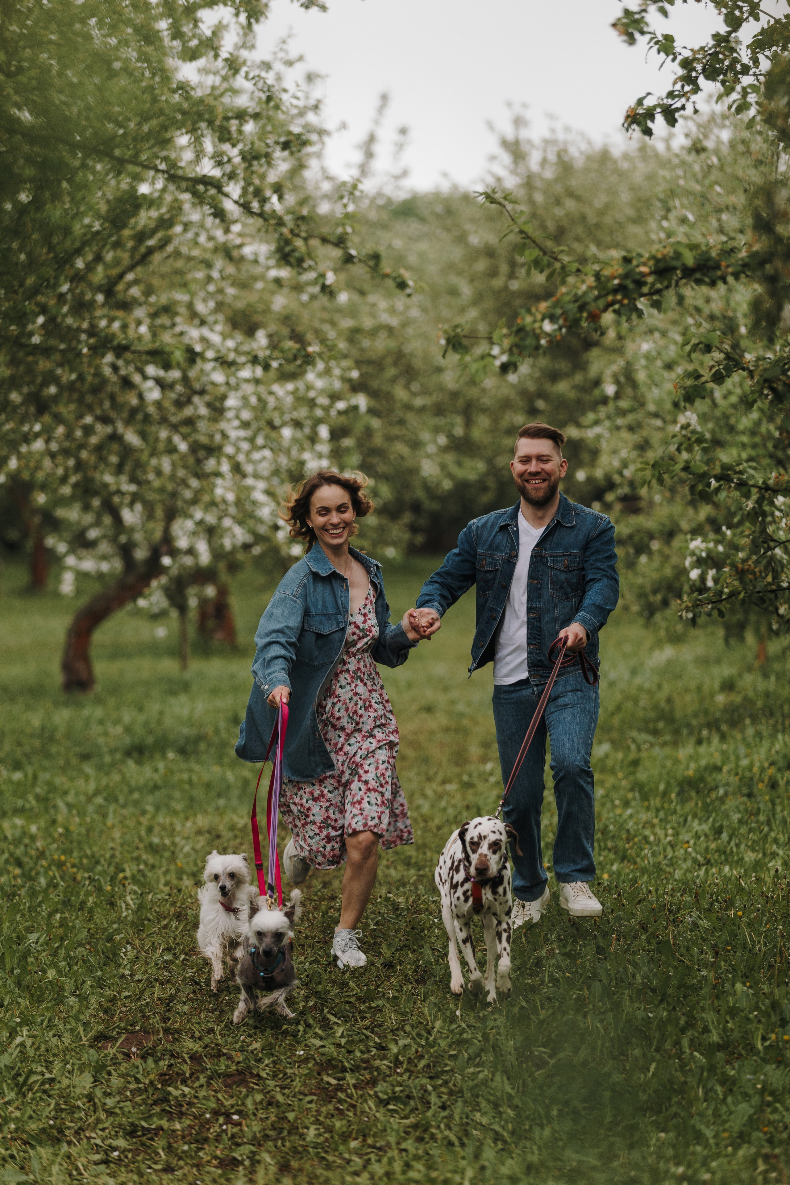 Лили, Уся, Вика и их семья. Фотограф анималист Кристина Карпова, Москва