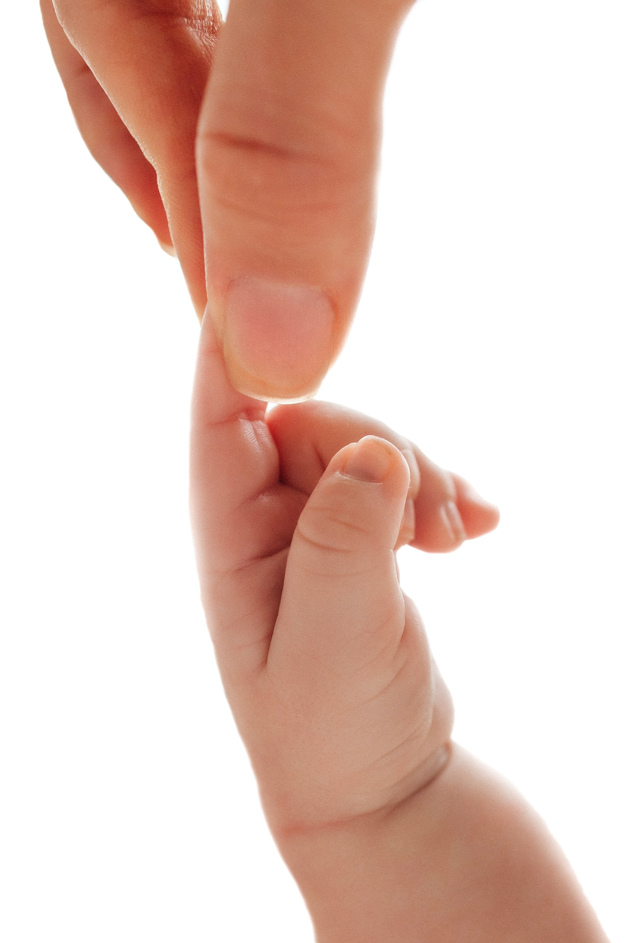 ПАКЕТ «Simple». Главная